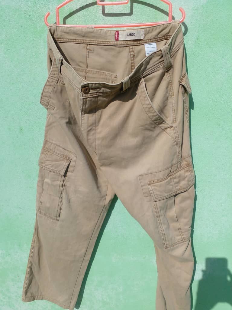 Pants Cargo Levis