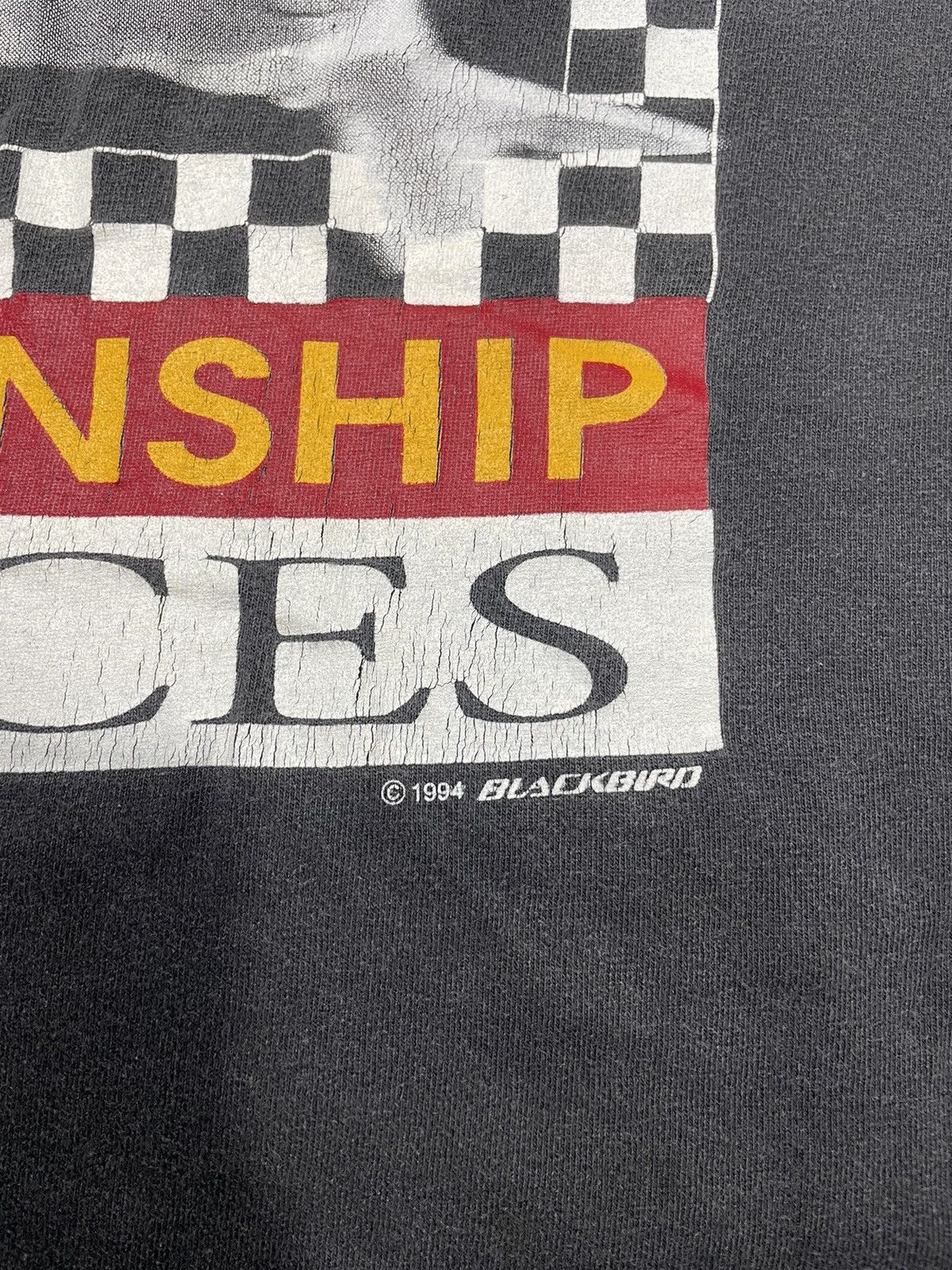 Other Vintage 1994 BLACKBIRD Reno National Championship Airraces Size US XL / EU 56 / 4 - 5 Thumbnail