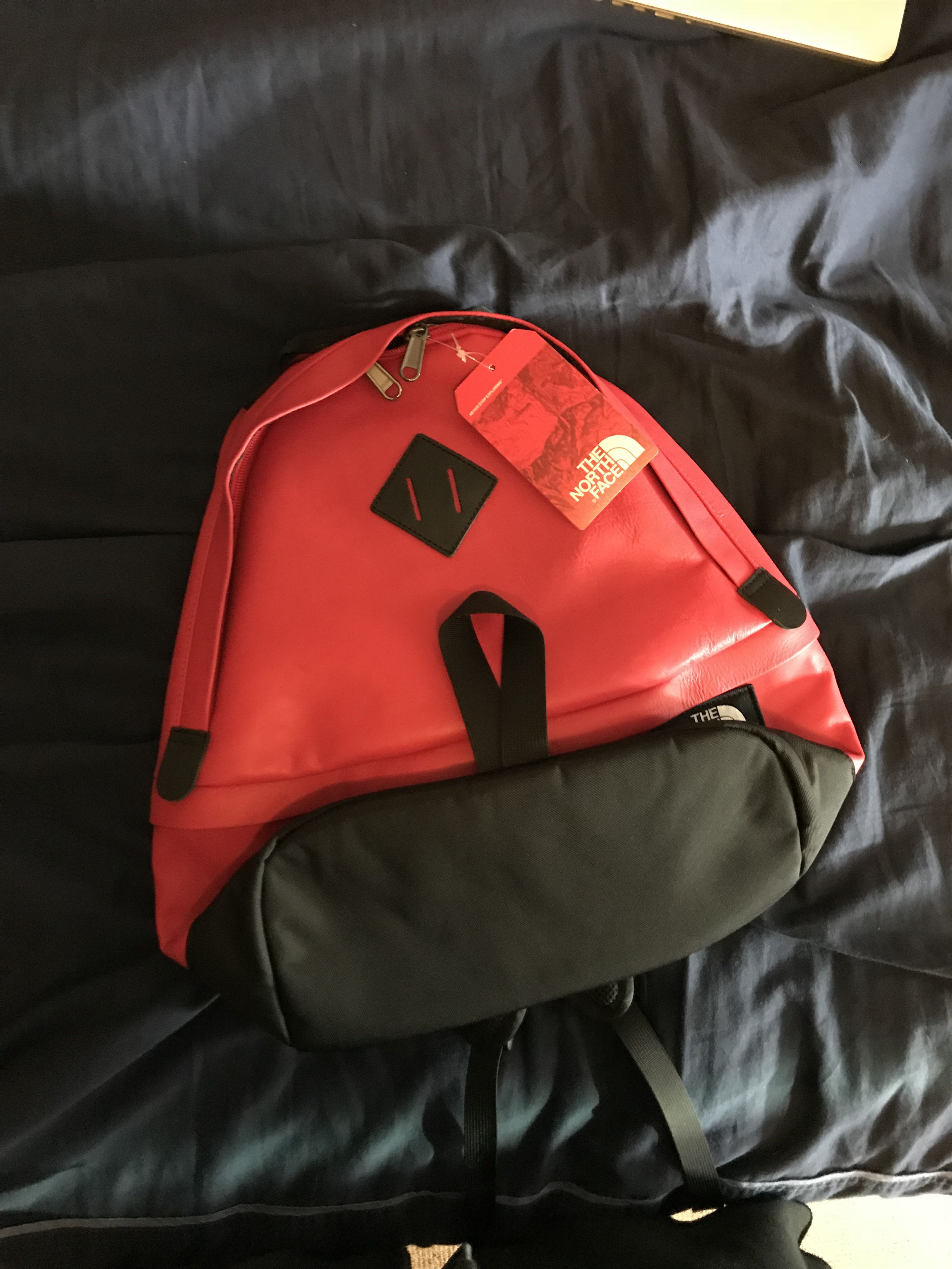 Supreme The North Face Leather Day Pack Grailed