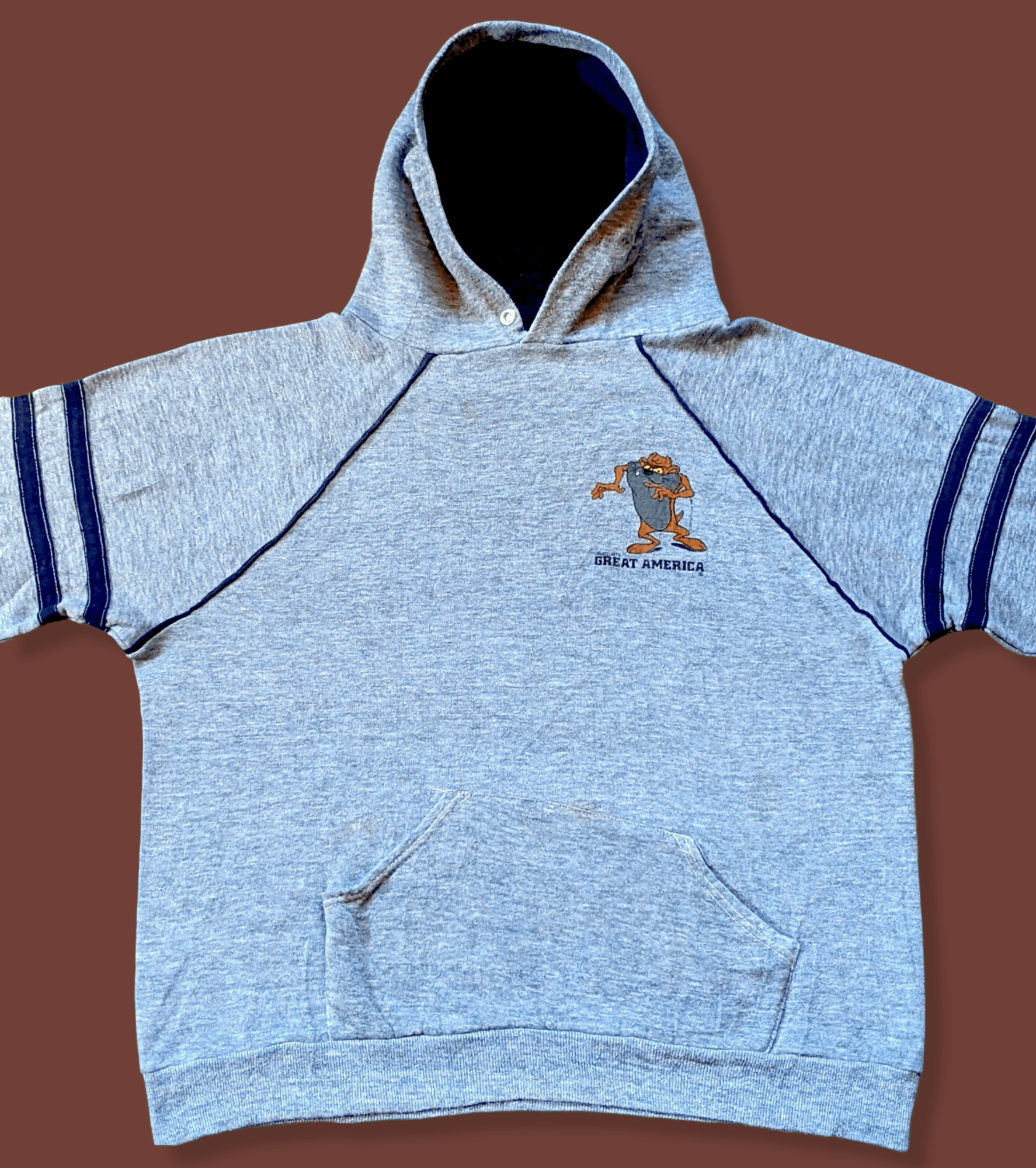 Cartoon Network × Vintage Vintage 80s 1982 Taz Tazmania Looney Tunes Pullover Hoodie Size US M / EU 48-50 / 2 - 3 Thumbnail