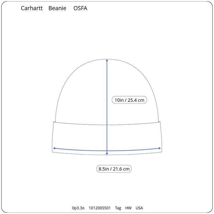 Carhartt NWT Carhartt Thinsulate Insulated Beanie Skull Cap OS Logo
