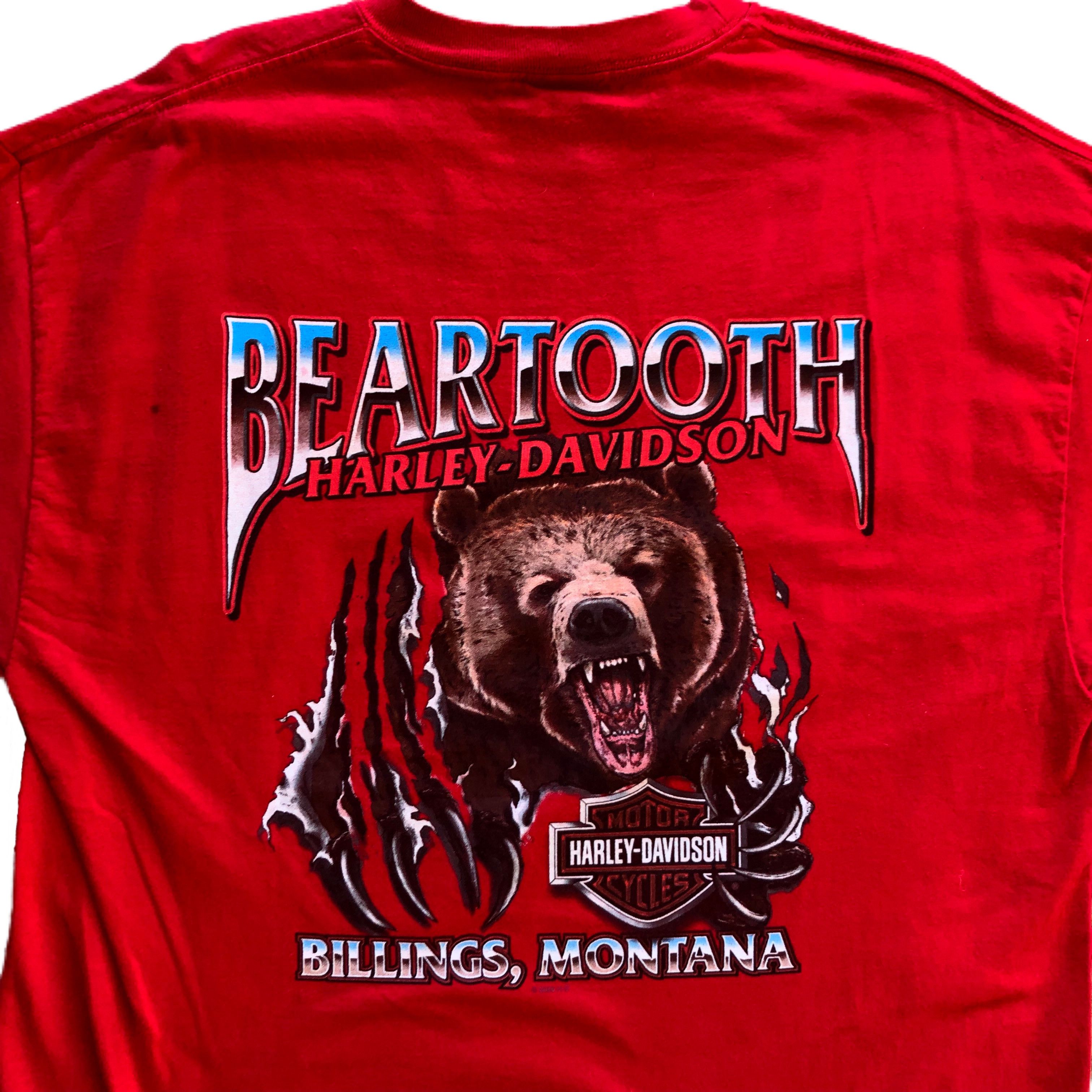 Harley Davidson × Vintage Y2k Harley-Davidson Beartooth Motorcycle T-shirt Size US L / EU 52-54 / 3 - 3 Thumbnail