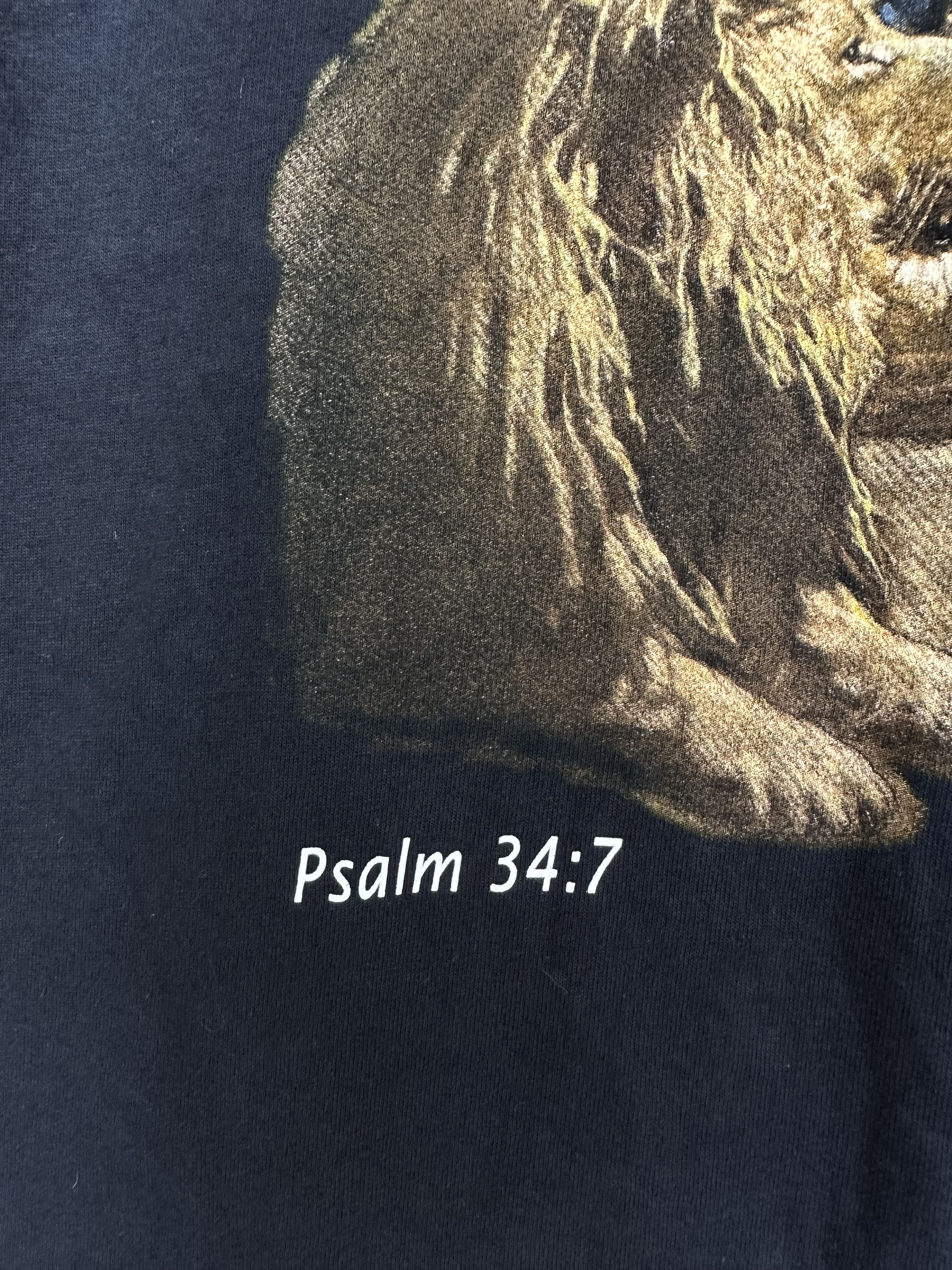 Christian Pellizzari 90s Living Epistles Dare To Be A Daniel Lions Angel Psalm Size US M / EU 48-50 / 2 - 5 Thumbnail