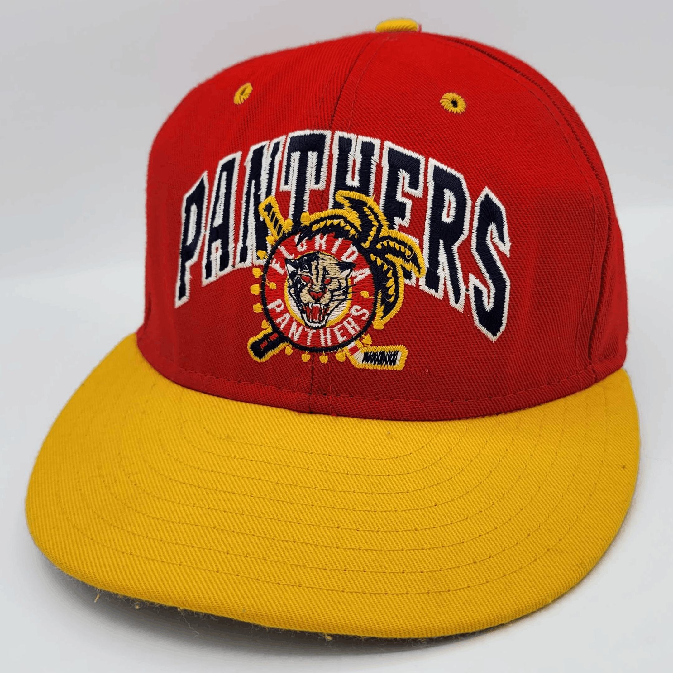 Vintage Florida Panthers Vintage 90s Double Logo Fitted Hat | Grailed