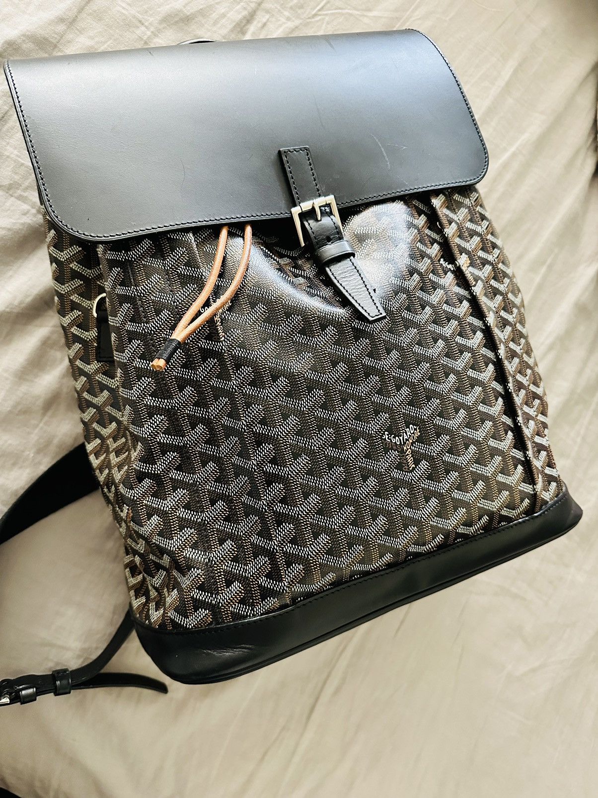 Maison Goyard - The Alpin backpack / Le sac à dos Alpin