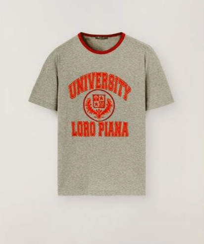 image of Loro Piana University T-Shirt In Grey, Men's (Size Medium)