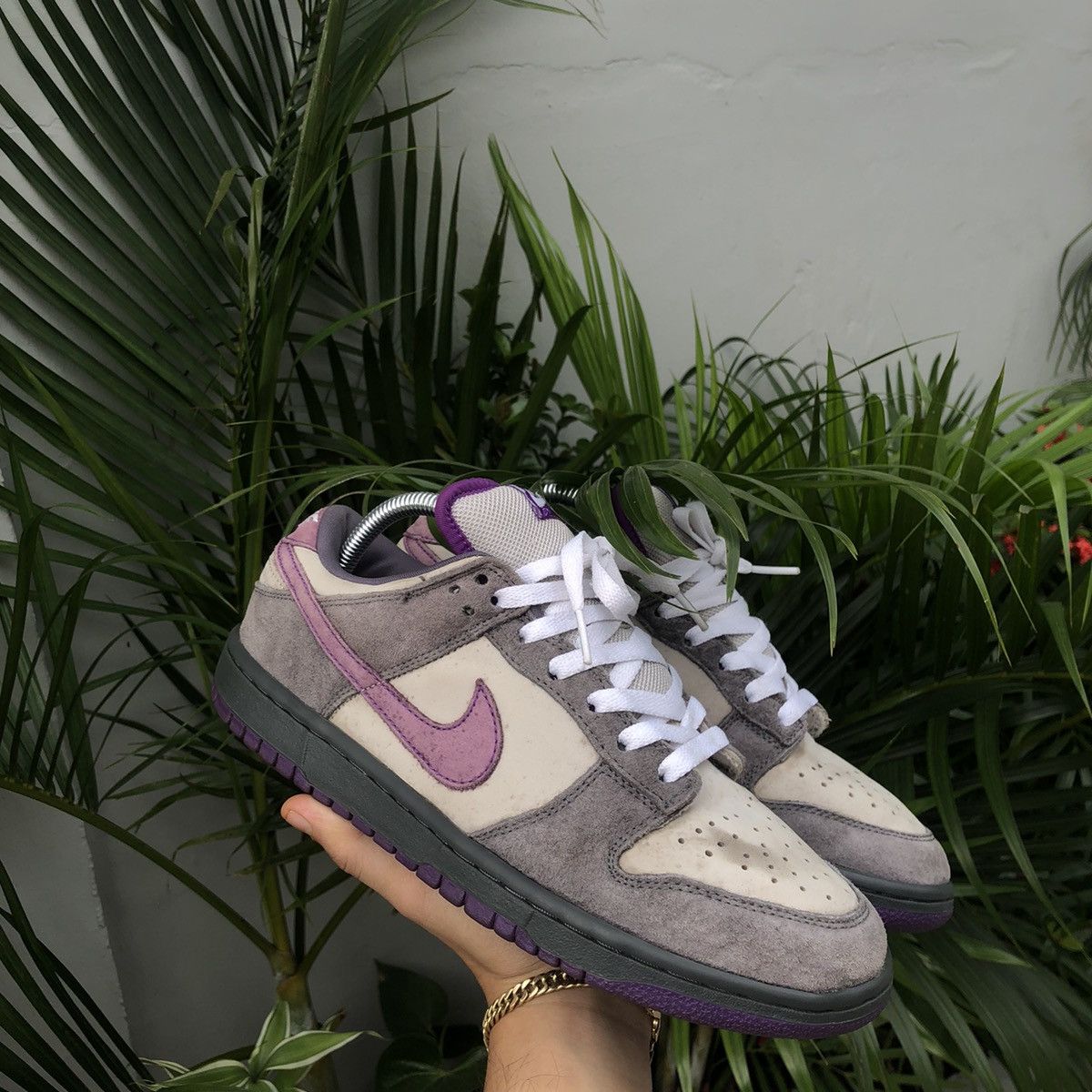 Purple pigeon sb best sale