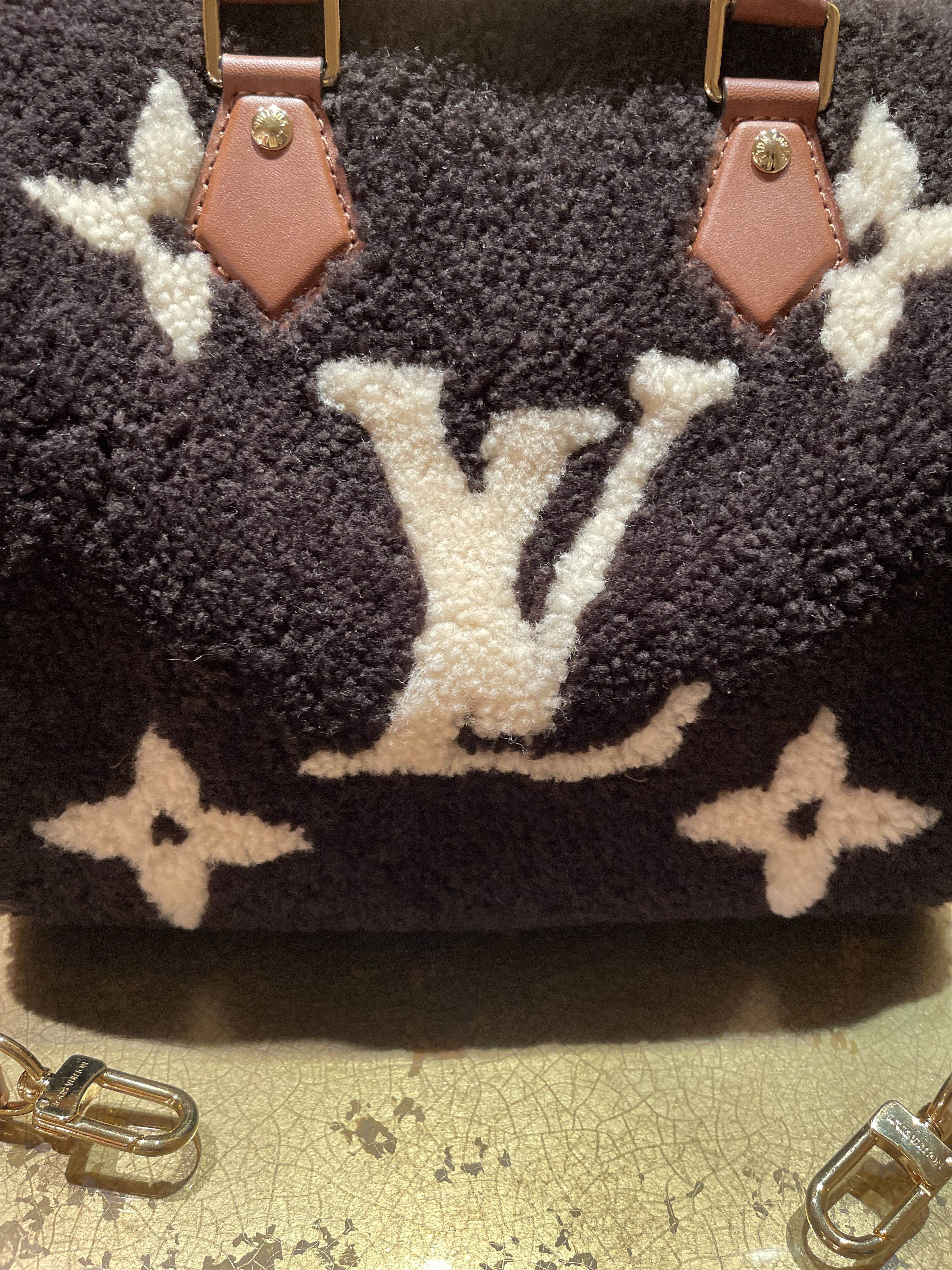 Louis Vuitton LOUIS VUITTON TEDDY SPEEDY BANDOULIÈRE 25 Size ONE SIZE - 9 Thumbnail