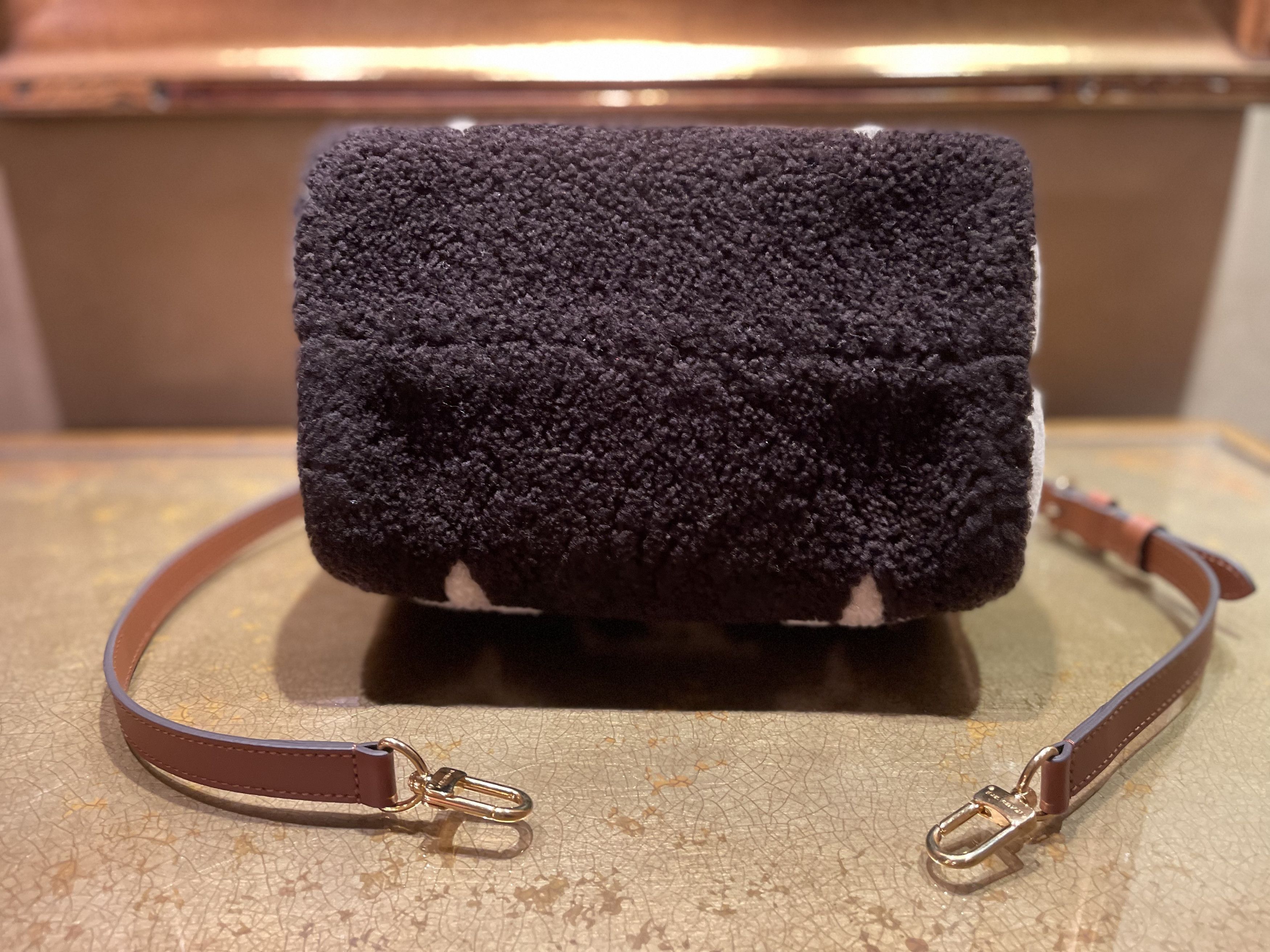 Louis Vuitton LOUIS VUITTON TEDDY SPEEDY BANDOULIÈRE 25 Size ONE SIZE - 12 Thumbnail