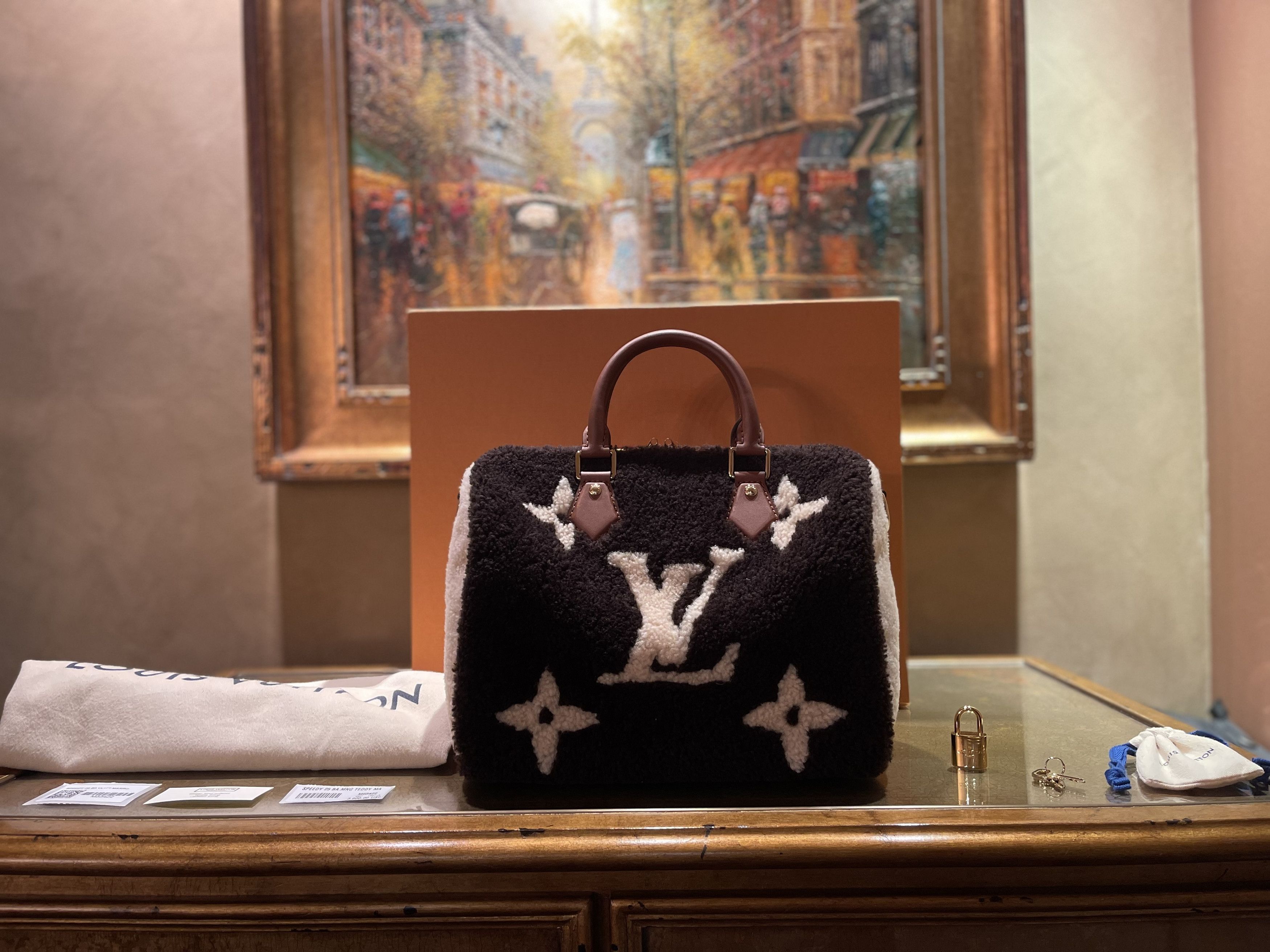 Louis Vuitton LOUIS VUITTON TEDDY SPEEDY BANDOULIÈRE 25 Size ONE SIZE - 7 Thumbnail