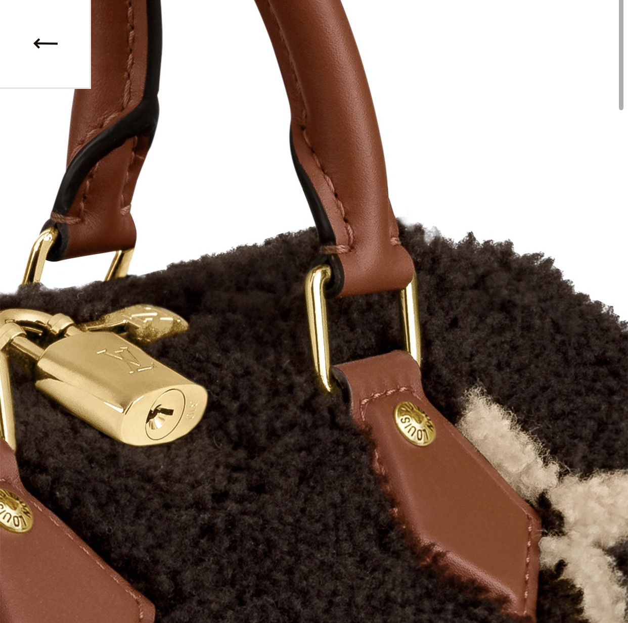 Louis Vuitton LOUIS VUITTON TEDDY SPEEDY BANDOULIÈRE 25 Size ONE SIZE - 2 Thumbnail