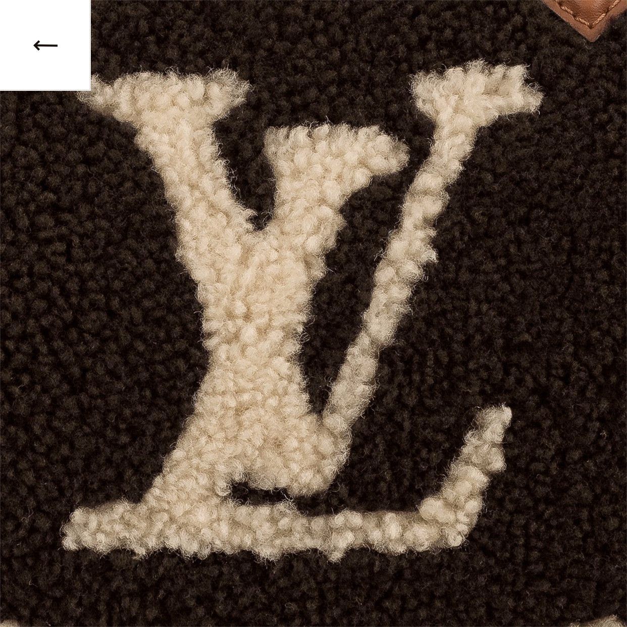 Louis Vuitton LOUIS VUITTON TEDDY SPEEDY BANDOULIÈRE 25 Size ONE SIZE - 5 Thumbnail