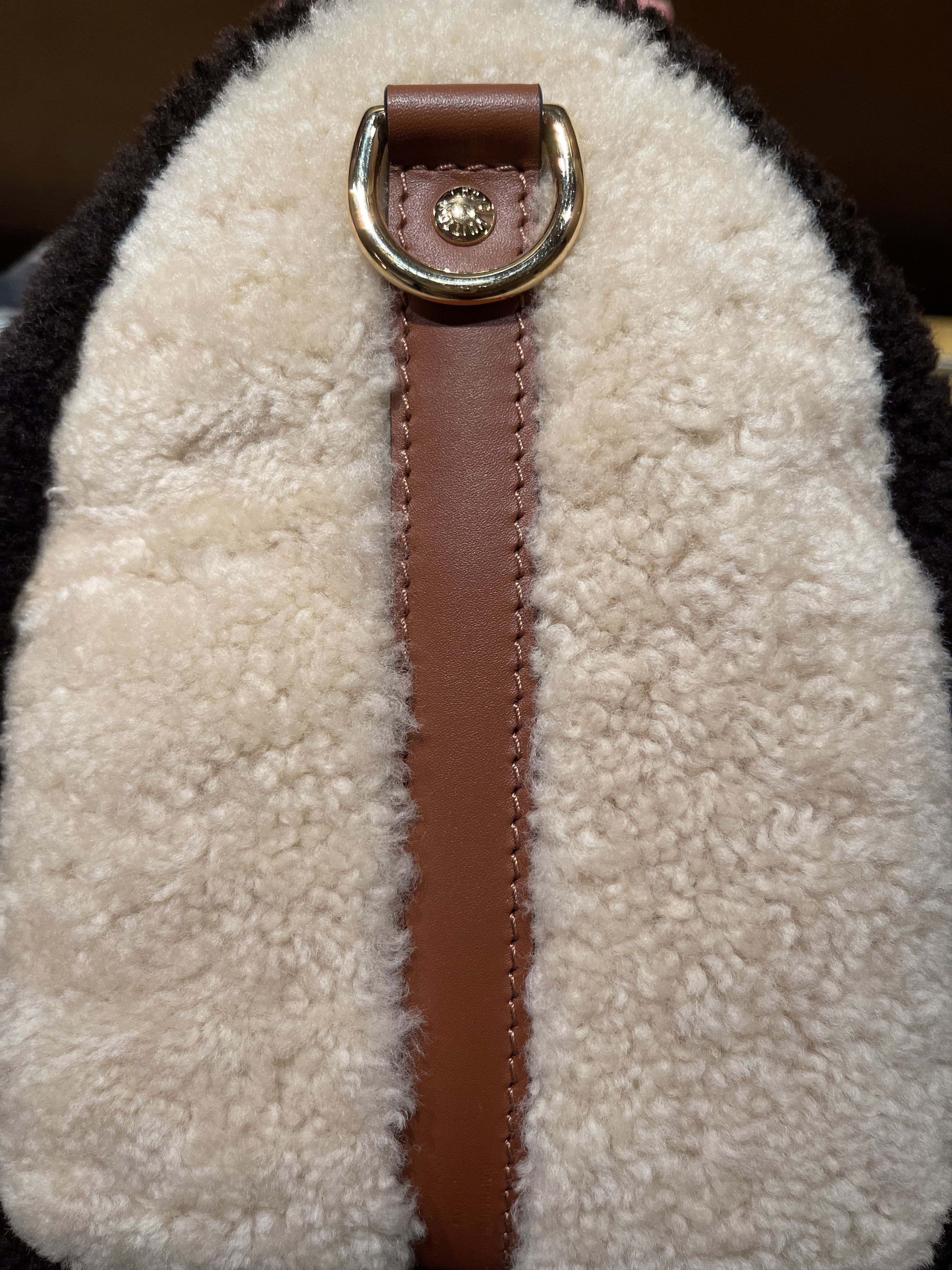 Louis Vuitton LOUIS VUITTON TEDDY SPEEDY BANDOULIÈRE 25 Size ONE SIZE - 14 Thumbnail
