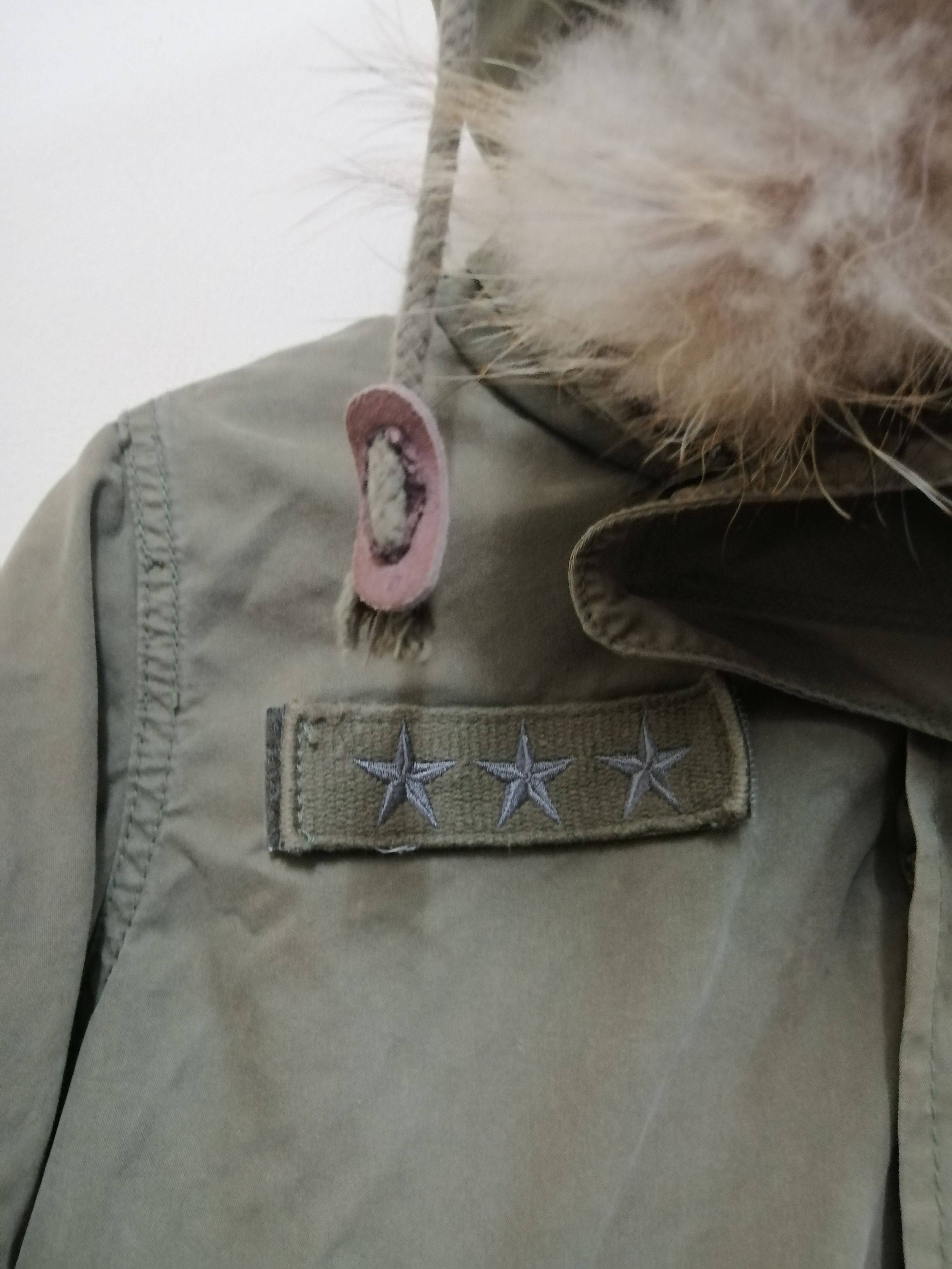 Avirex × Japanese Brand Avirex x earth music & ecology violet label parkas hooded Size US S / EU 44-46 / 1 - 8 Thumbnail