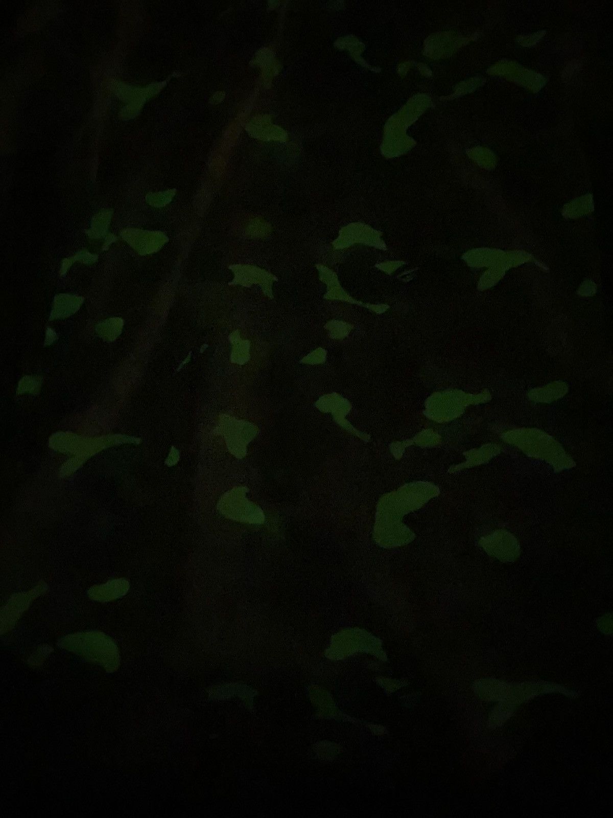 Bape Bape Glow in the Dark City Camo Hoodie Long Sleeve Shirt Size US L / EU 52-54 / 3 - 9 Thumbnail