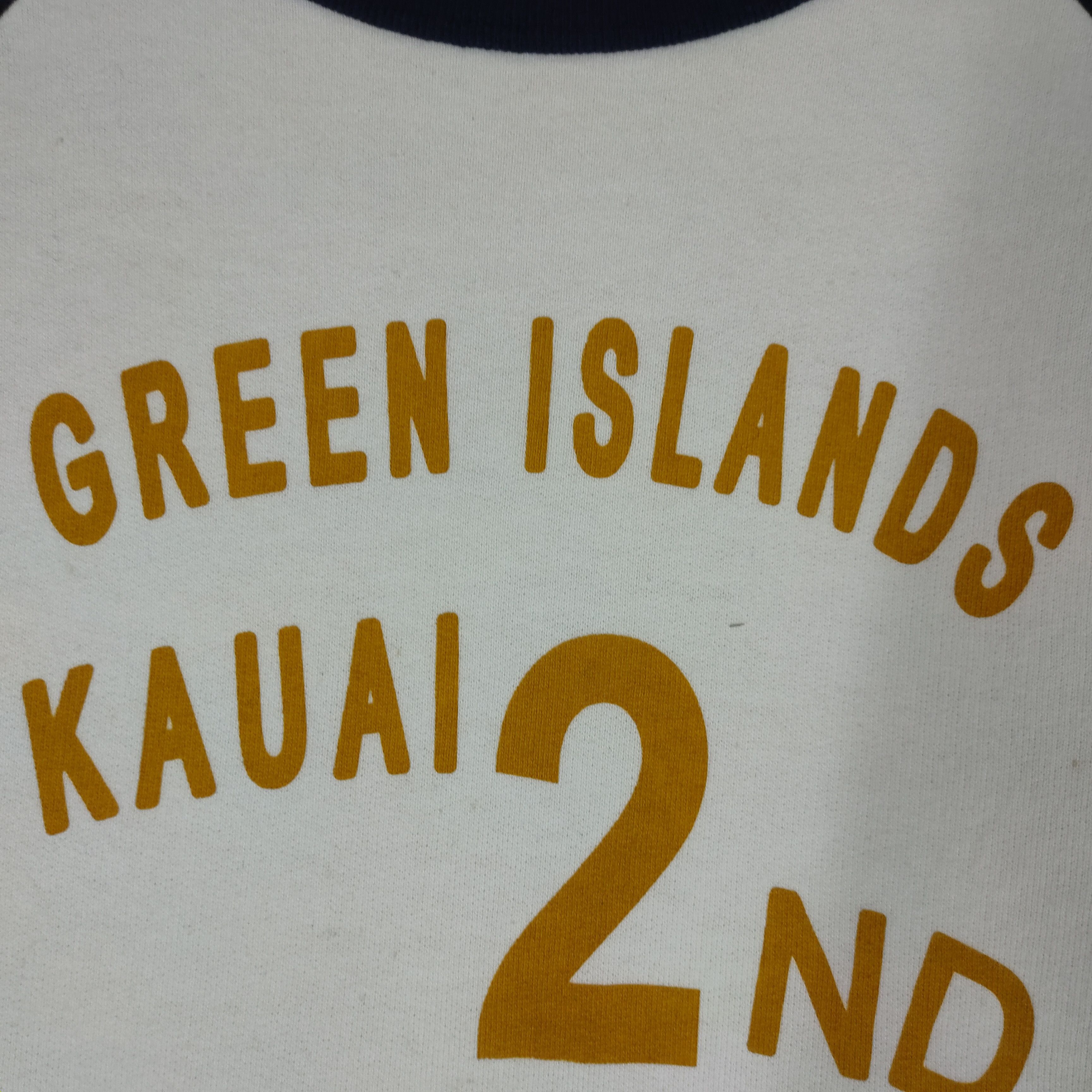 Other GREEN ISLAND Kauai Hanalei Hawaii Printed Sweatshirt Size US M / EU 48-50 / 2 - 4 Thumbnail