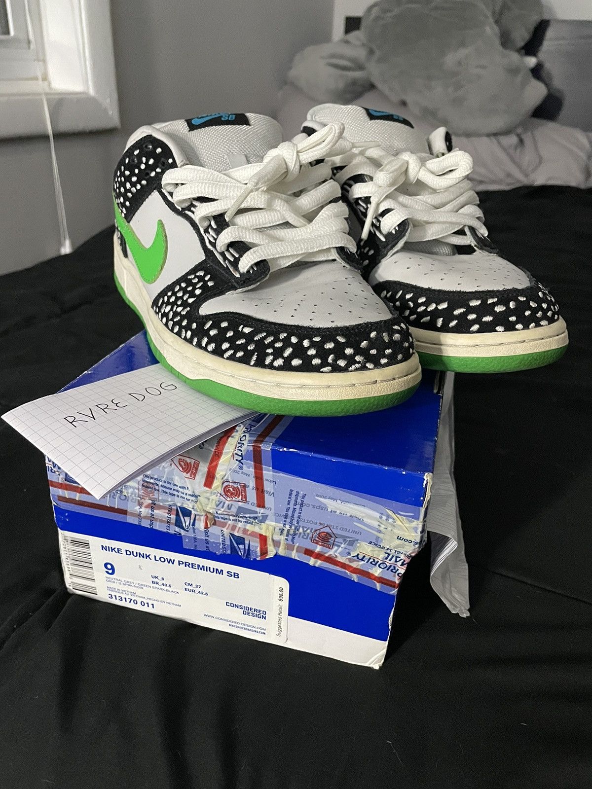 loon nike sb