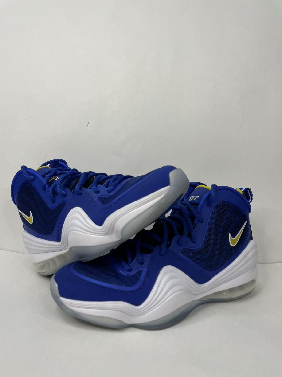 Air Penny Blue Chips