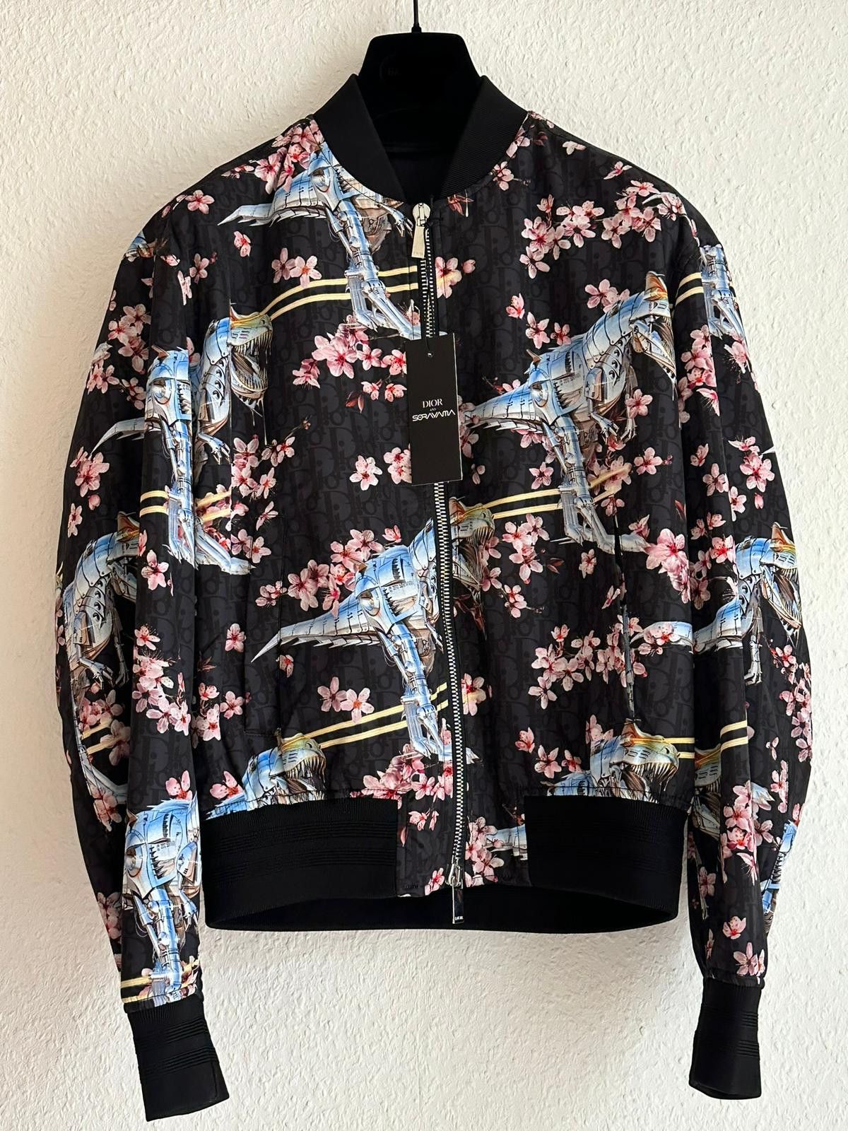 dior sorayama dinosaur