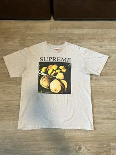 Supreme still life tee hotsell terra cotta