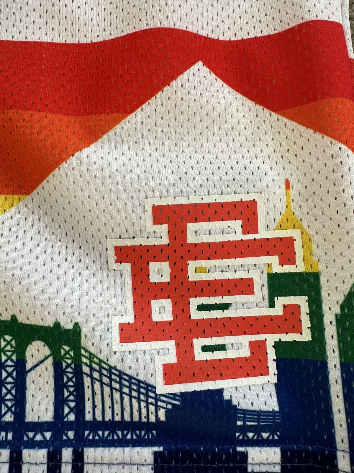 Eric Emanuel EE Basic Shorts/ Skyline Nuggets (NYC EXCLUSIVE) Size US 32 / EU 48 - 3 Thumbnail
