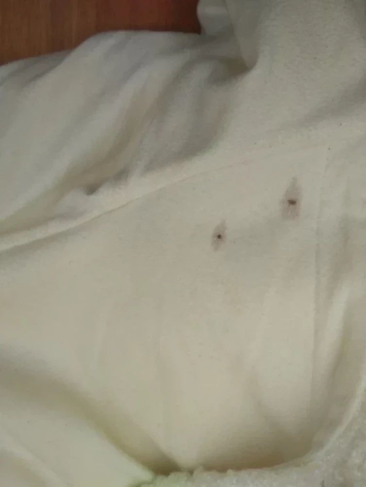 Courreges COURREGES SWEATER SHERPA Size S / US 4 / IT 40 - 18 Thumbnail