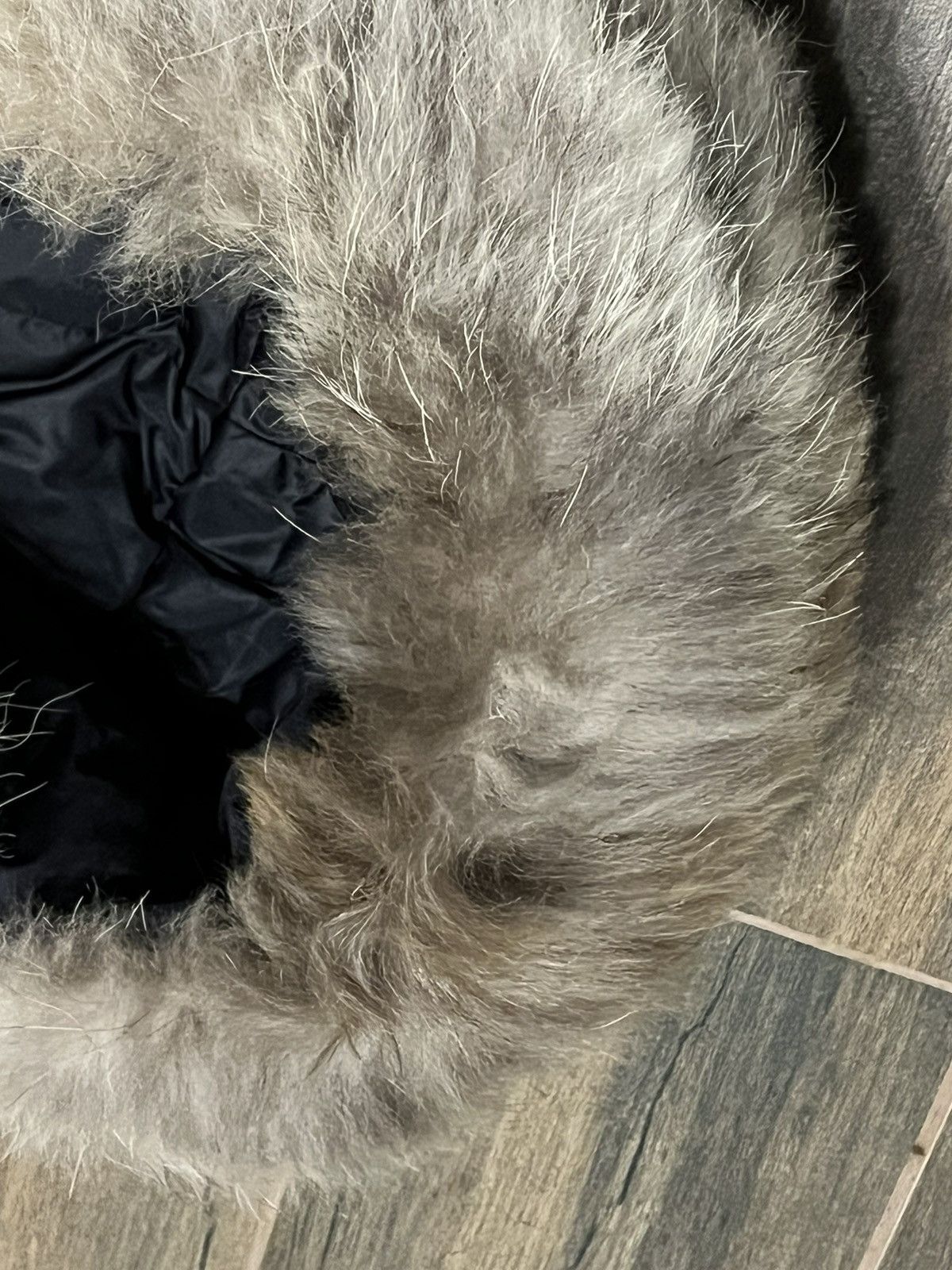 Canada Goose Canada Goose Expedtition Down Jacket Parka Size US XXS / EU 40 - 7 Thumbnail