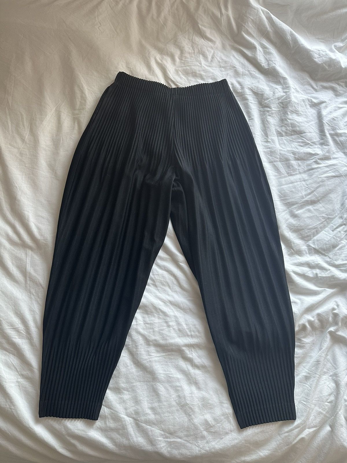 Issey Miyake HOMME PLISSE ISSEY MIYAKE Basics Relaxed Pant Size US 28 / EU 44 - 2 Thumbnail