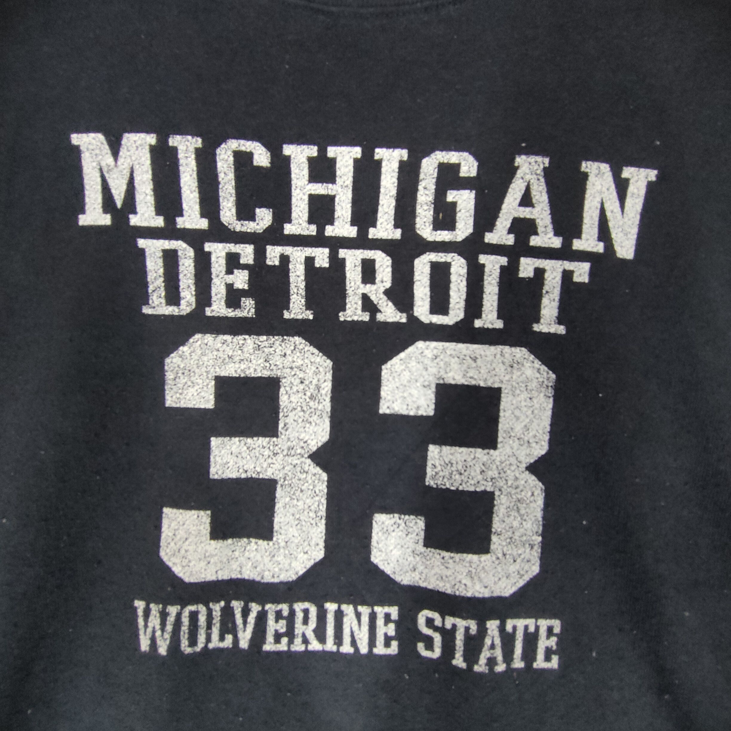 Other MICHIGAN DETROIT 33 WOLVERINE State L Size Sweatshirt Size US L / EU 52-54 / 3 - 2 Thumbnail