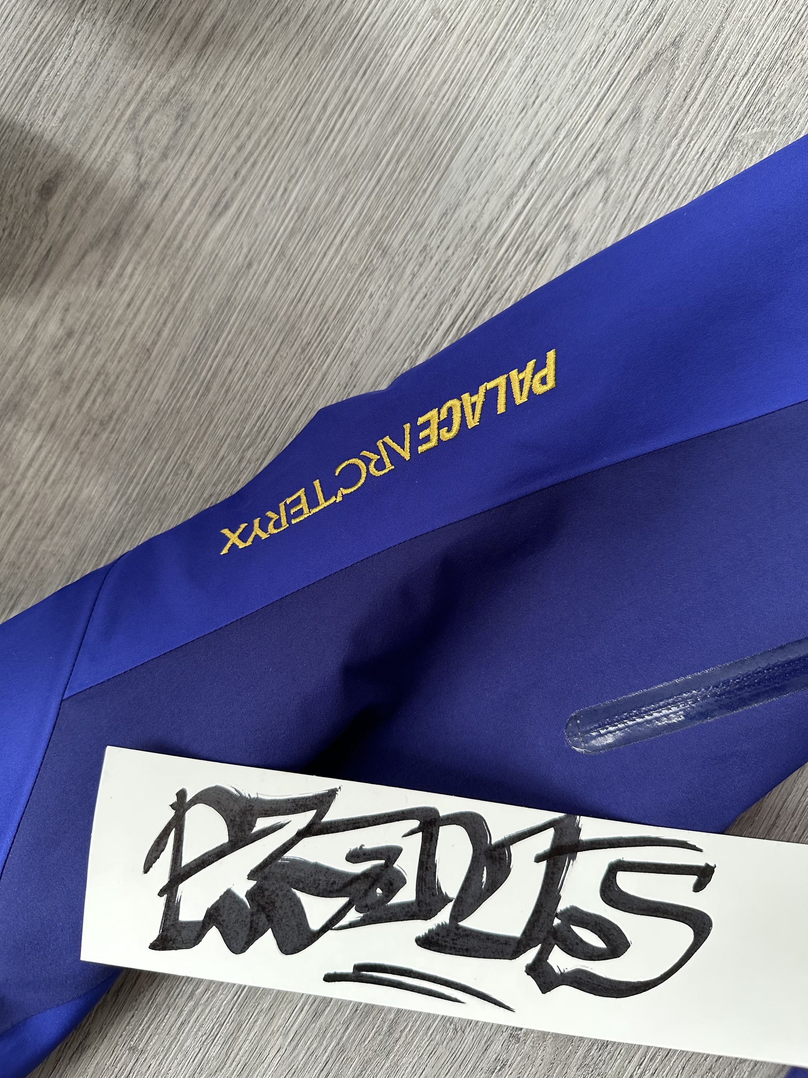 Arc'teryx × Palace Palace x Arcteyx Alpha SV Jacket Blue