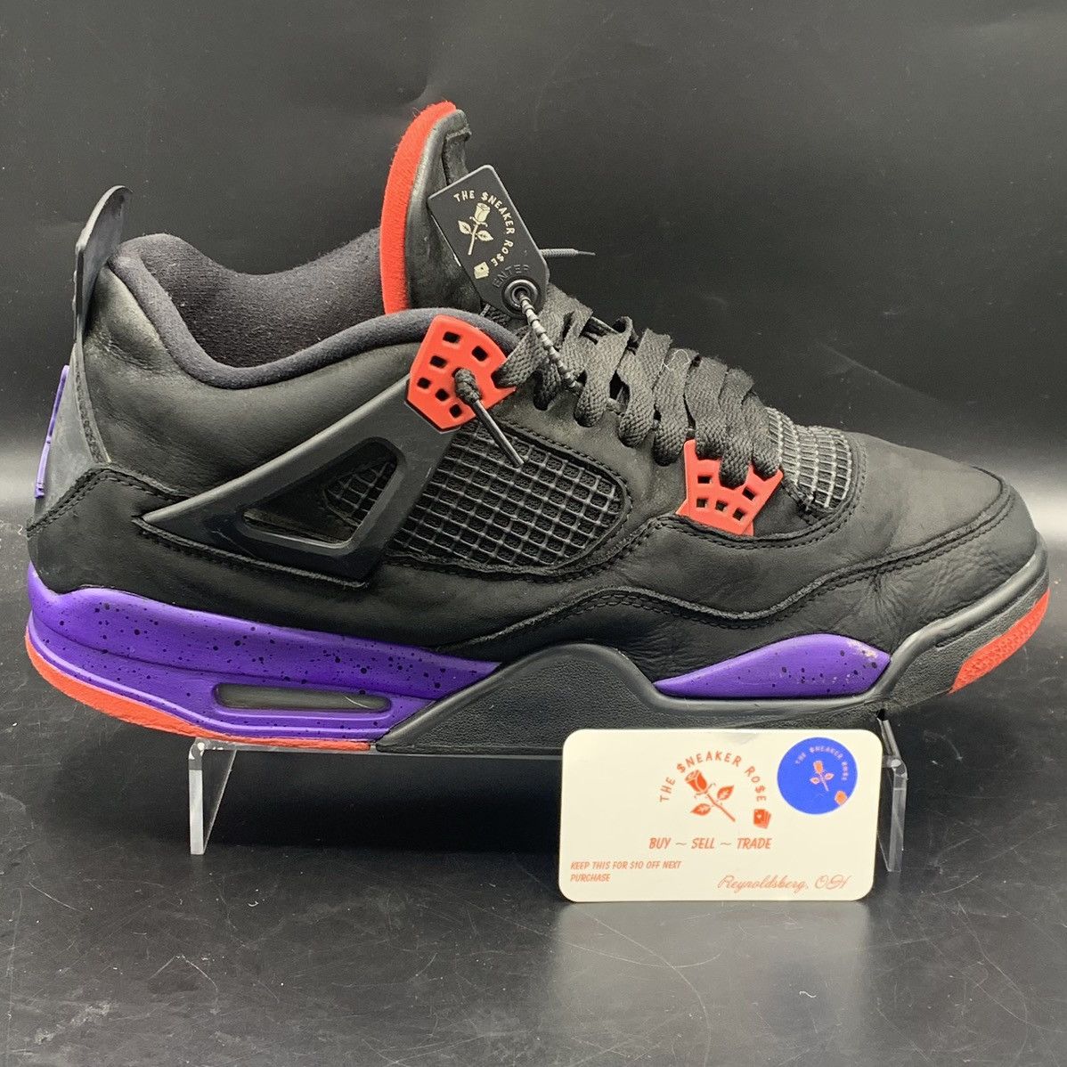 retro 4s raptors