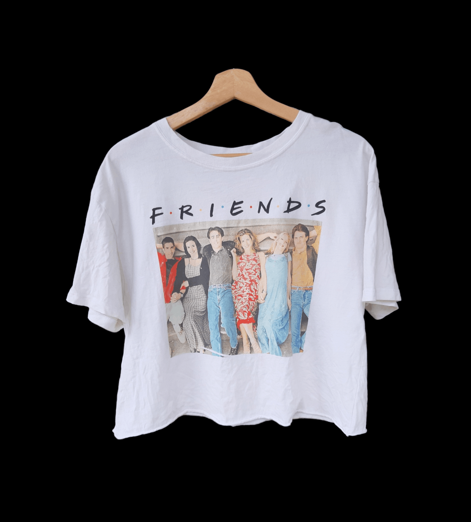 Vintage TV Series Comedy Friends Crop Top Shirt