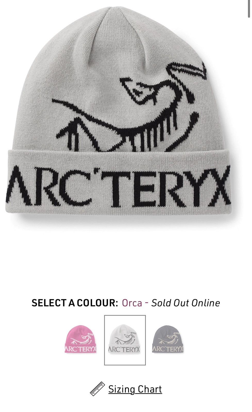 【値下げ中】ARC'TERYX Bird Word Toque Orca Arc'teryx Bird Head Toque Orca - SS24 - US