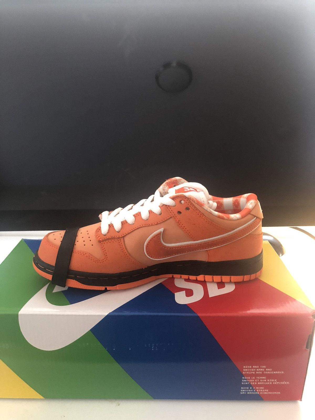 Nike SB DUNK LOW x Orange Lobster