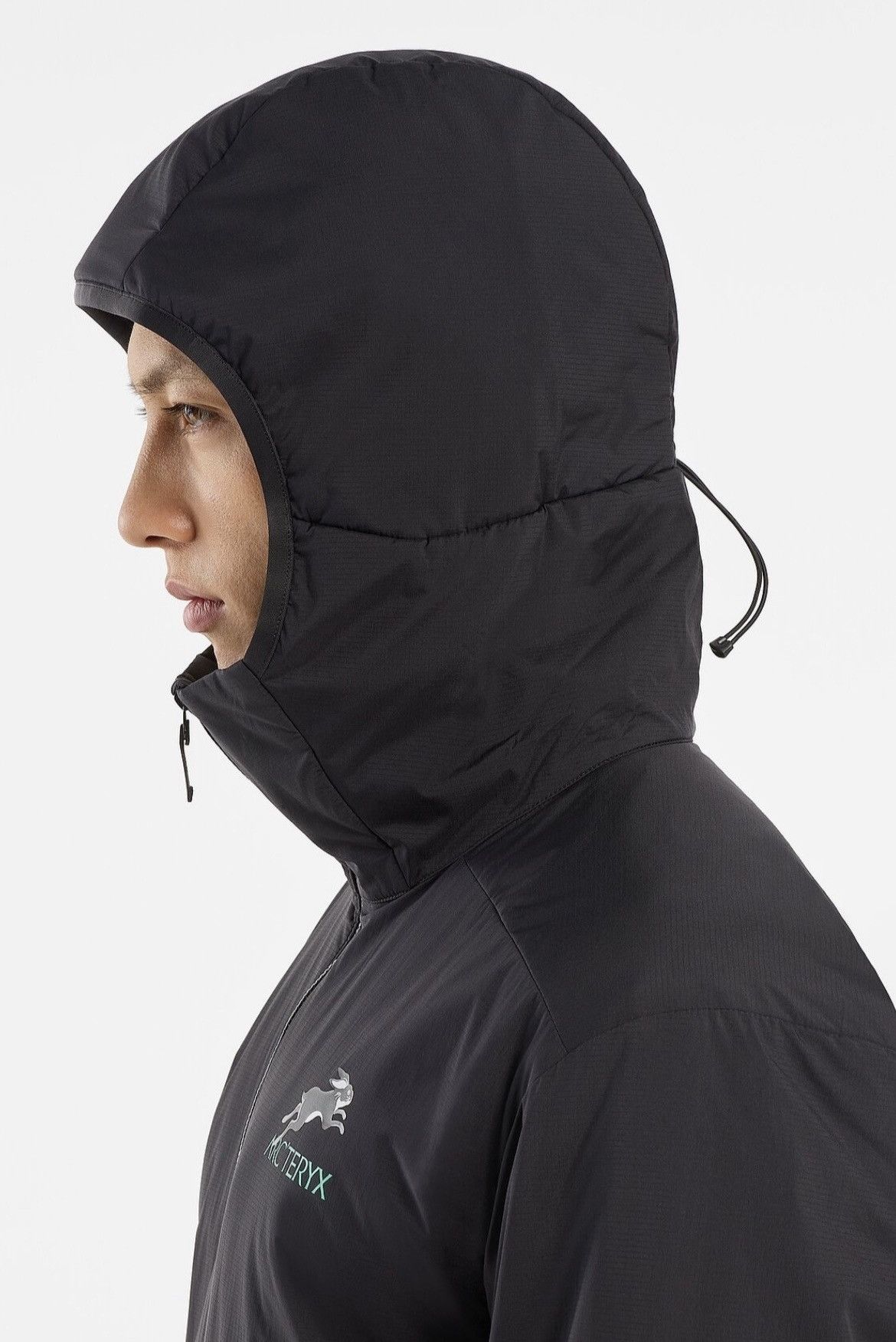 Arc'teryx Arcteryx Lunar New Year Atom LT Hoody *IN HAND* lny rabbit ...