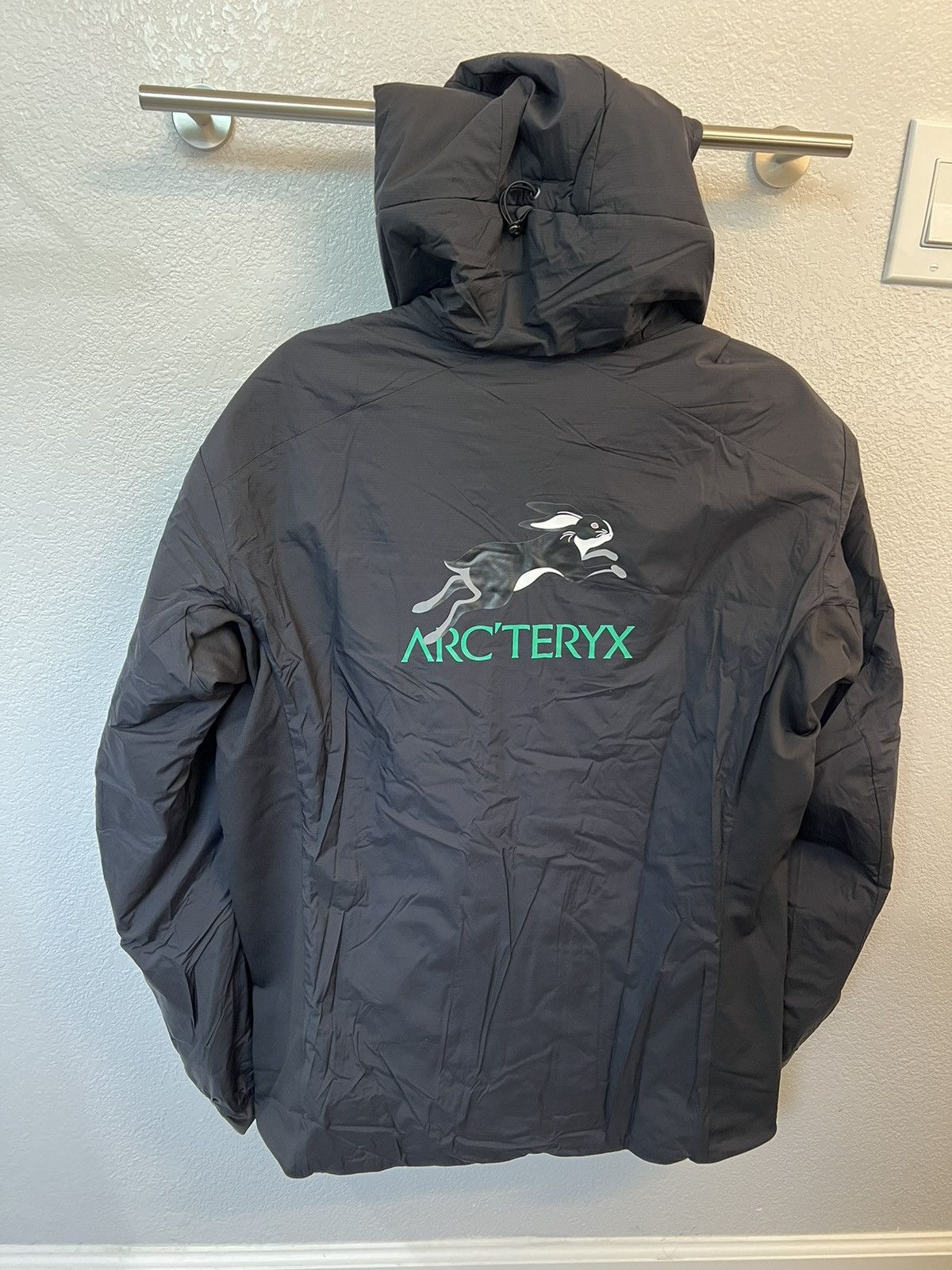 Arc'teryx Arcteryx Lunar New Year Atom LT Hoody *IN HAND* lny rabbit ...