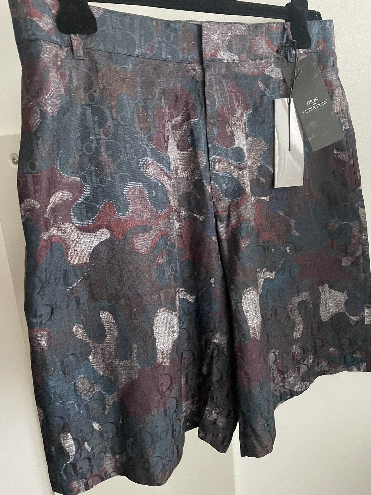 Sold Out Rare Dior x Peter Doig Super Runway Oblique Shorts