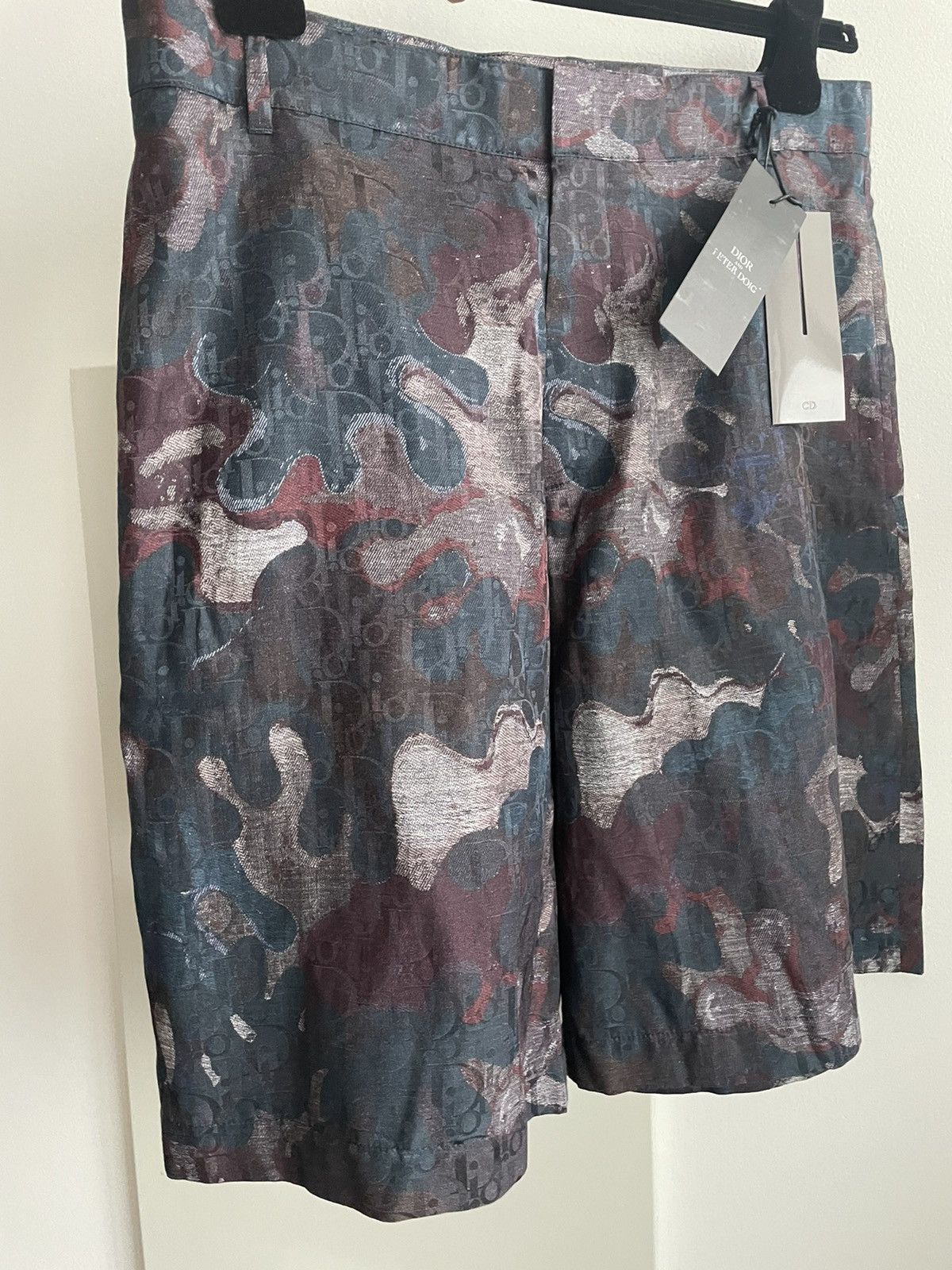 Sold Out Rare Dior x Peter Doig Super Runway Oblique Shorts