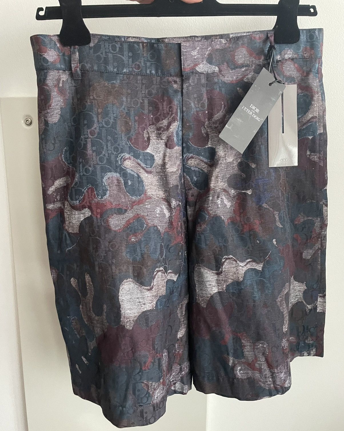 Sold Out Rare Dior x Peter Doig Super Runway Oblique Shorts