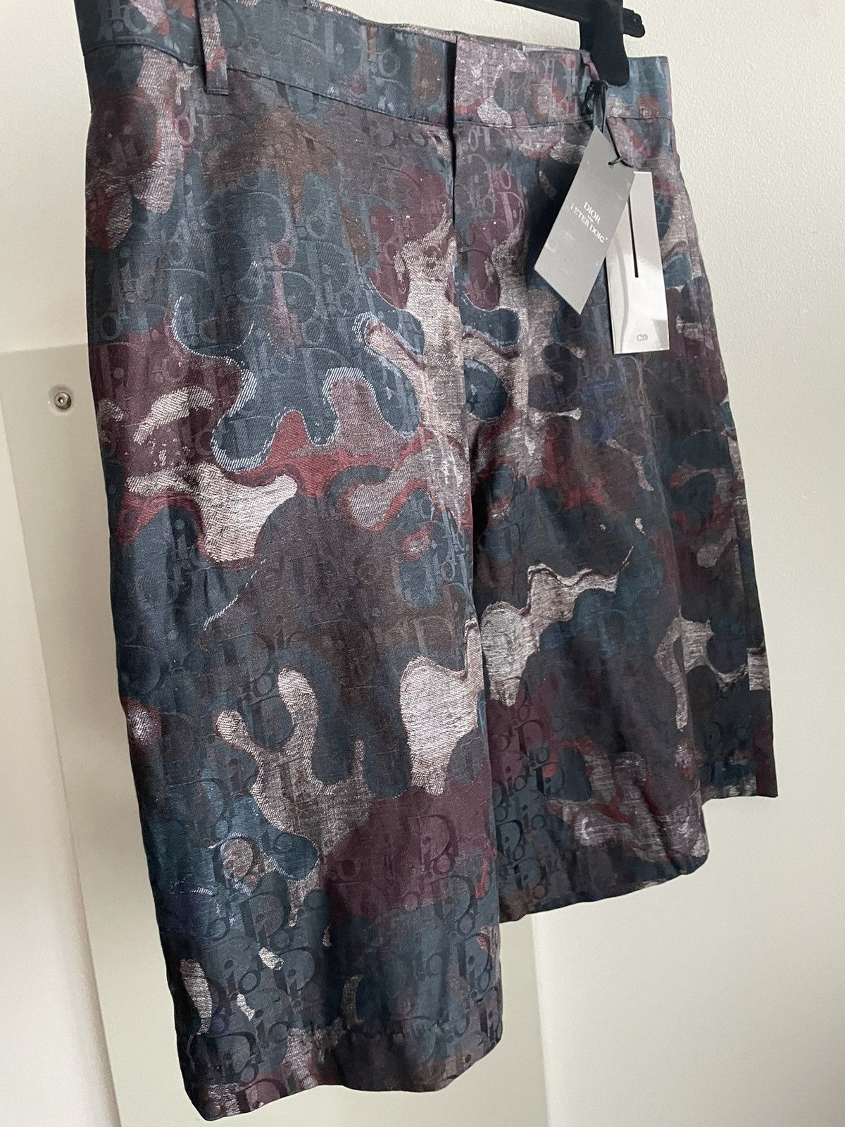 Sold Out Rare Dior x Peter Doig Super Runway Oblique Shorts
