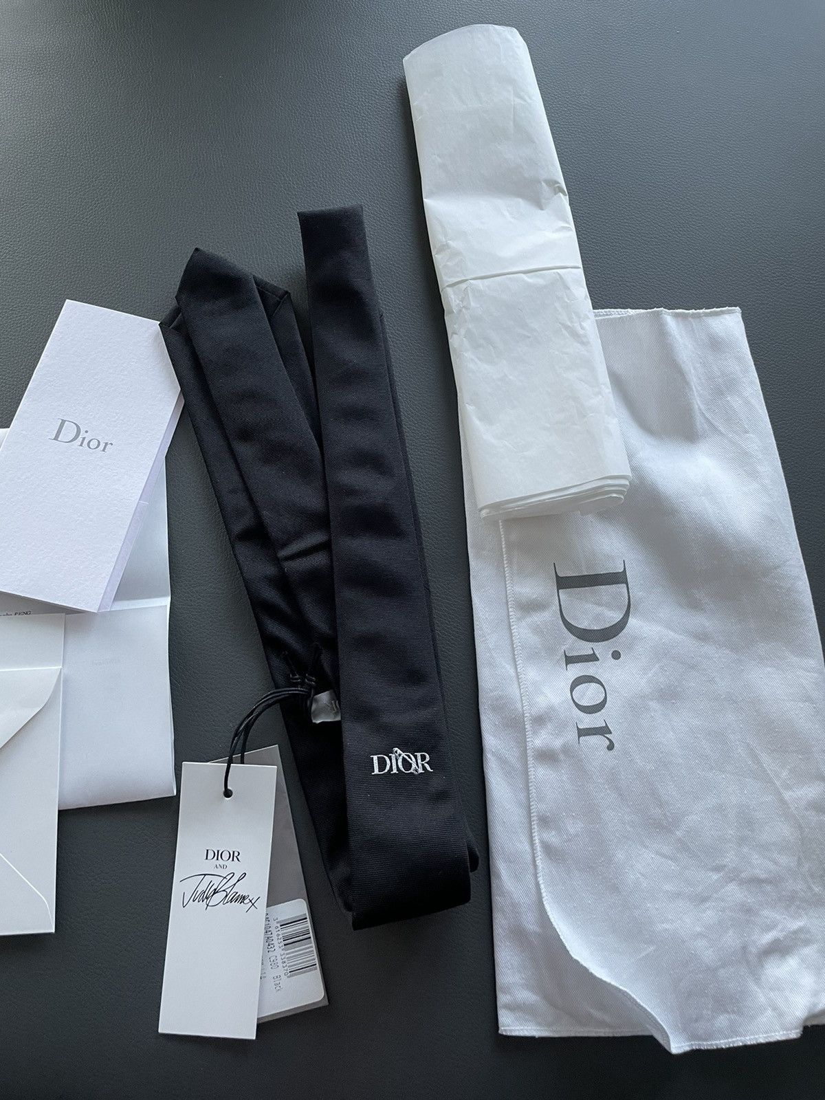 Dior Sold Runway LimitedEdition Dior x Judy Blame Silk Logo Tie Size ONE SIZE - 1 Thumbnail
