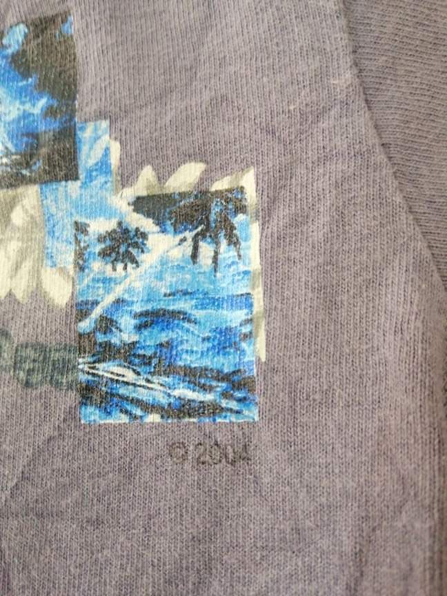Speedo Speedo Hawaiian Surfing t-shirt Size US M / EU 48-50 / 2 - 5 Thumbnail