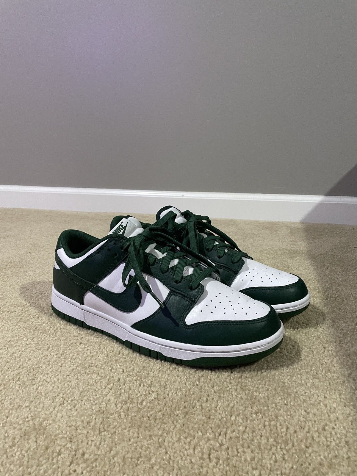 msu nike dunks