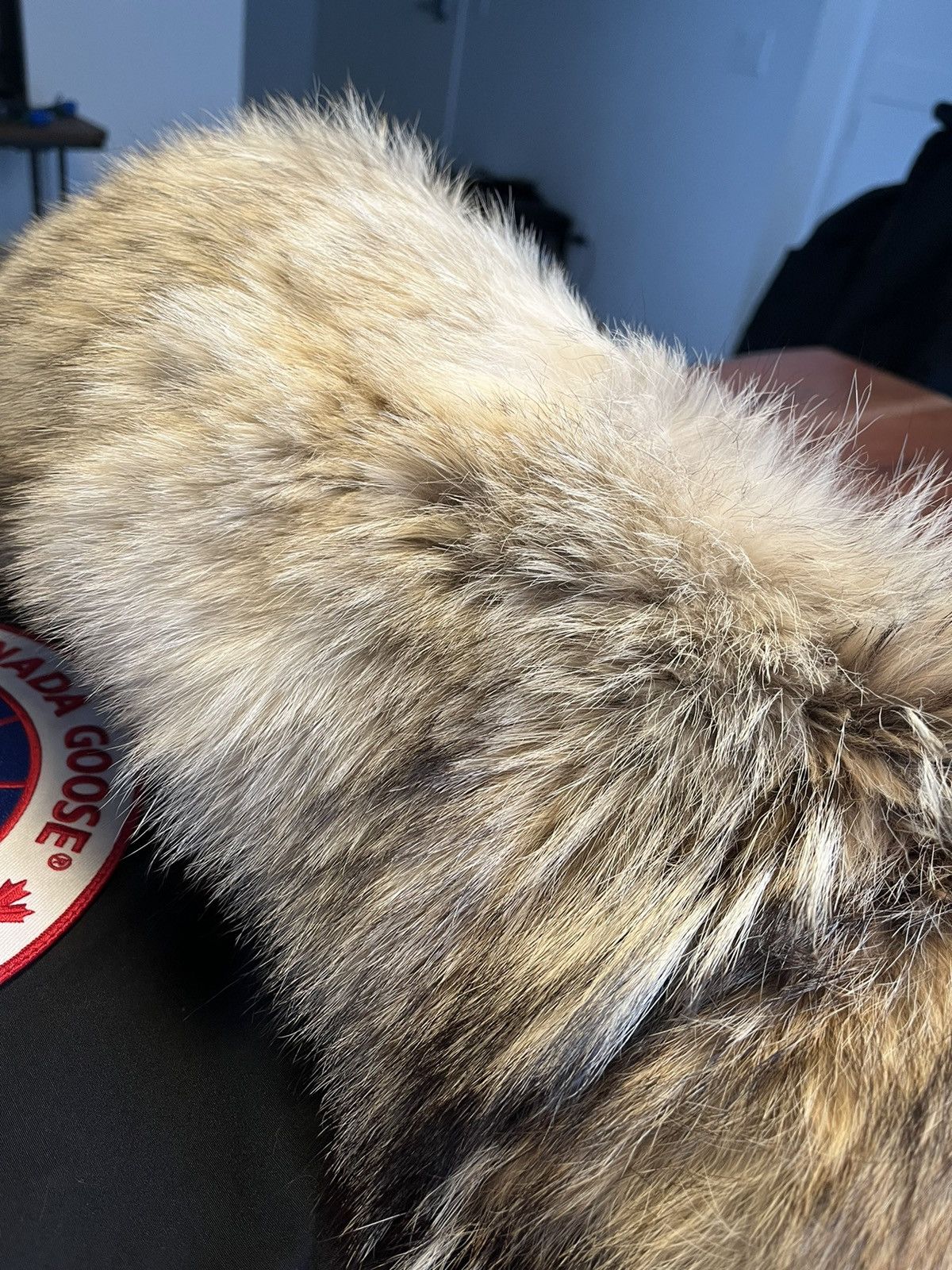 Canada Goose Canada Goose Lance Mackey Size US L / EU 52-54 / 3 - 5 Thumbnail