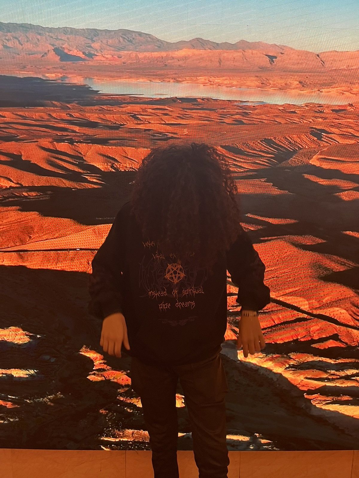 Vetements VETEMENTS FW22 VITAL EXISTENCE HOODIE Size US S / EU 44-46 / 1 - 5 Thumbnail