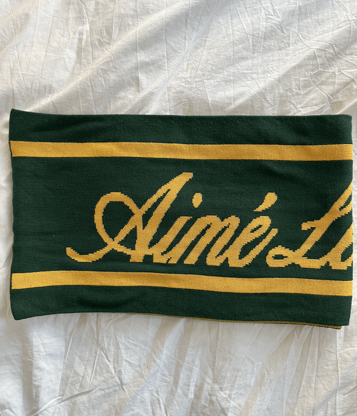 Aime Leon Dore Aime Leon Dore FW 21 Script Logo Scarf | Grailed