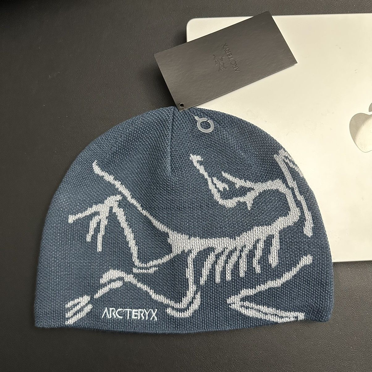 ARC'TERYX Bird Head Toque 