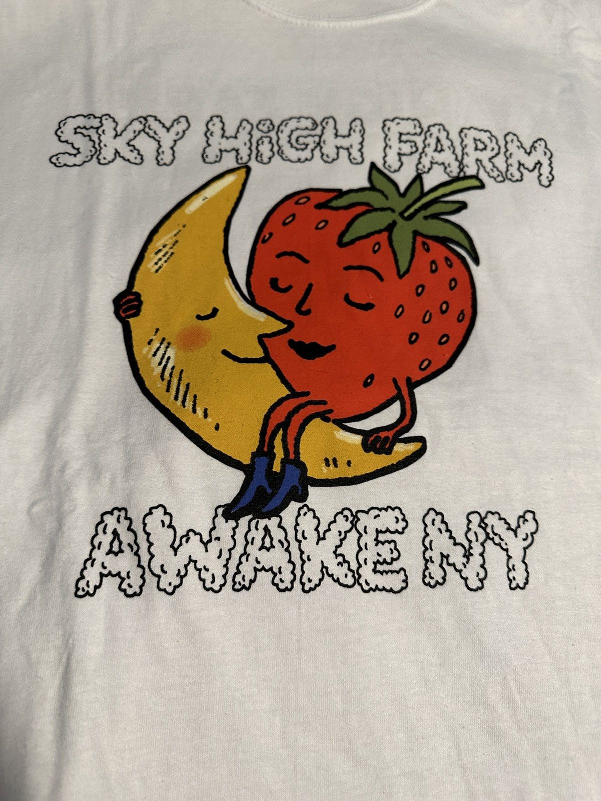 Awake NY Sky High Farm x AwakeNY | Moon Strawberry tee Size US XL / EU 56 / 4 - 2 Thumbnail
