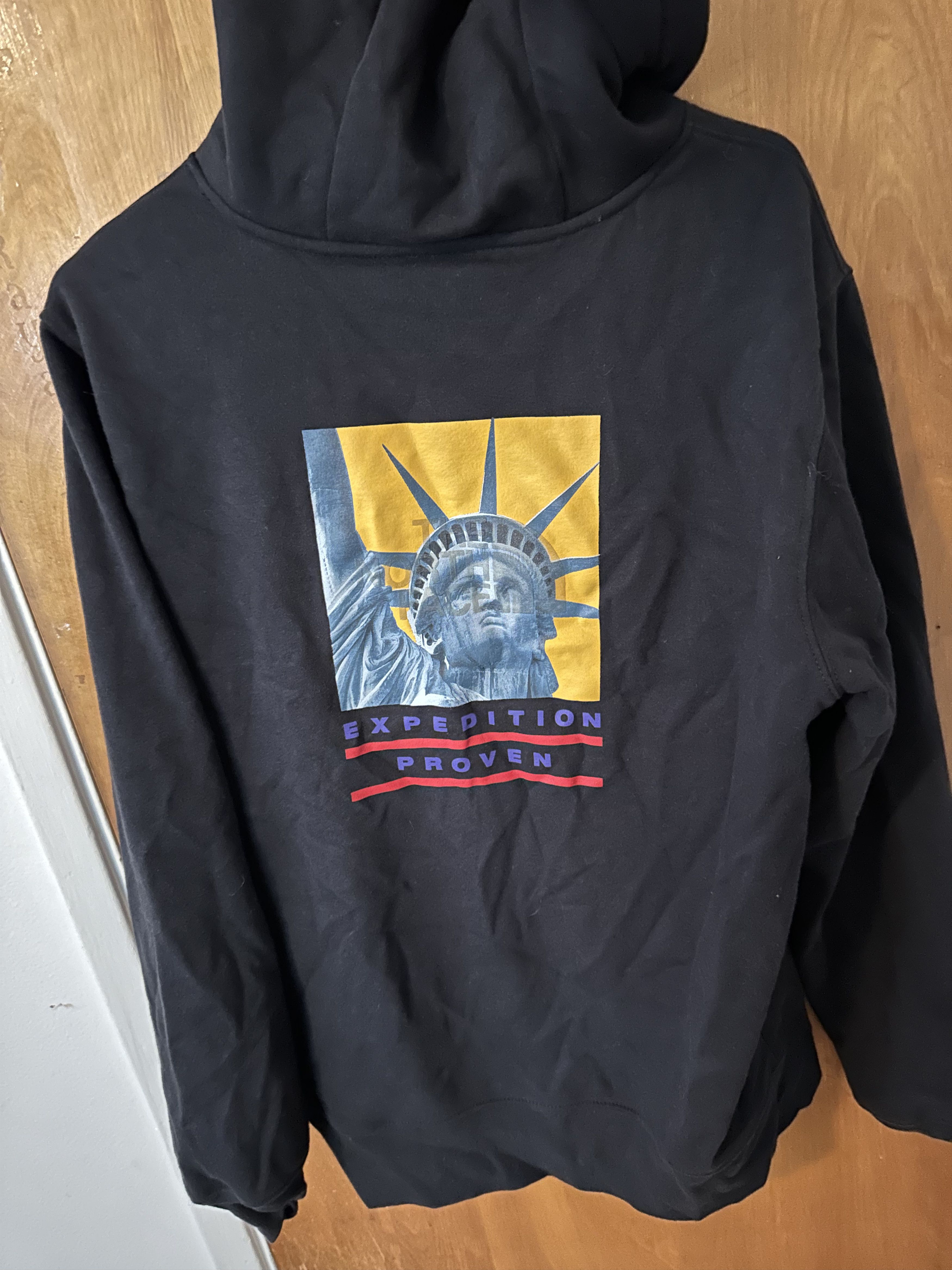 Supreme Supreme The North Face Statue of Liberty Hooded Sweatshirt | Grailed