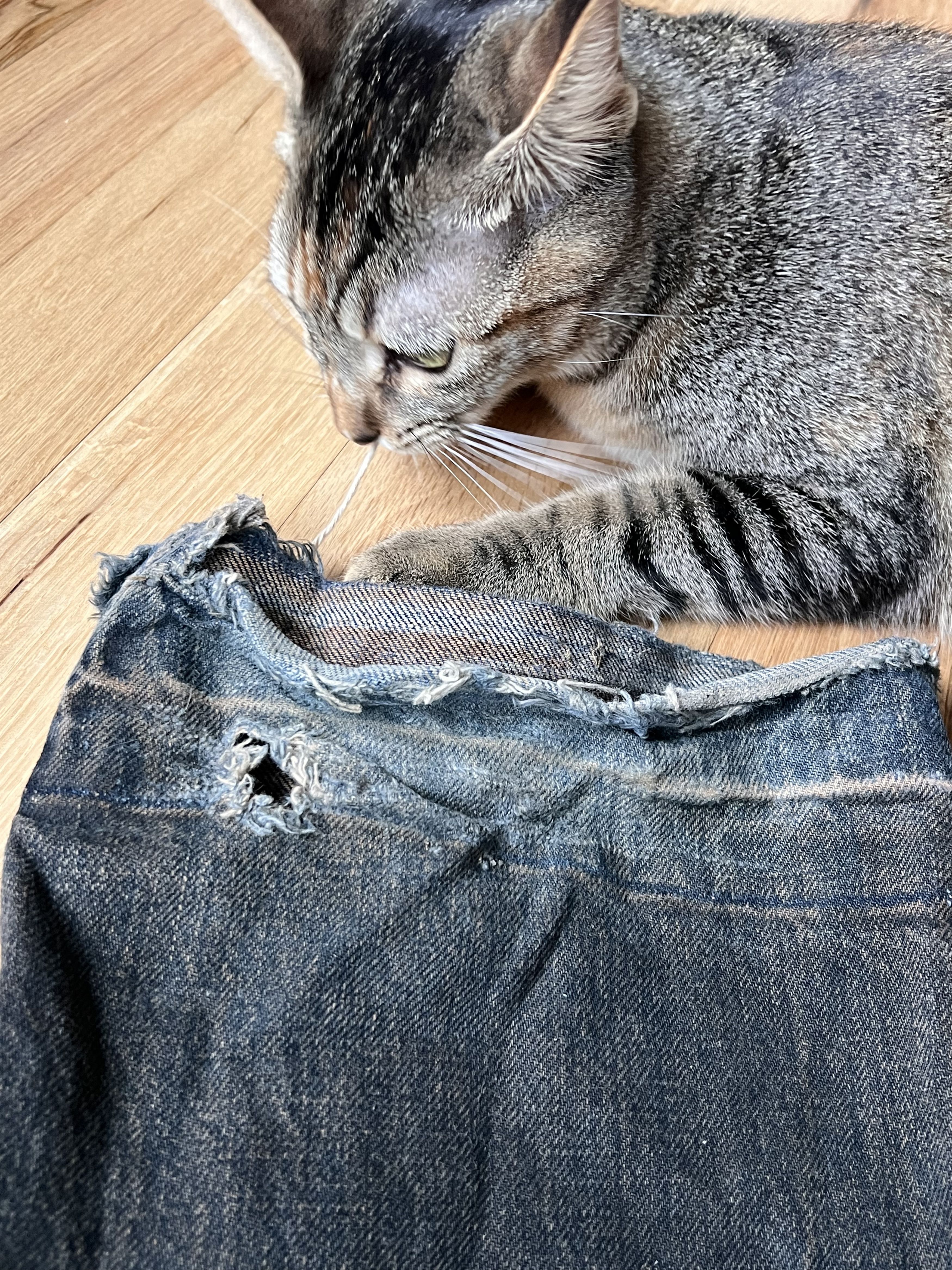 Rick Owens RICK OWENS 2001 Slab waxed spiral denim Size US 27 - 6 Thumbnail